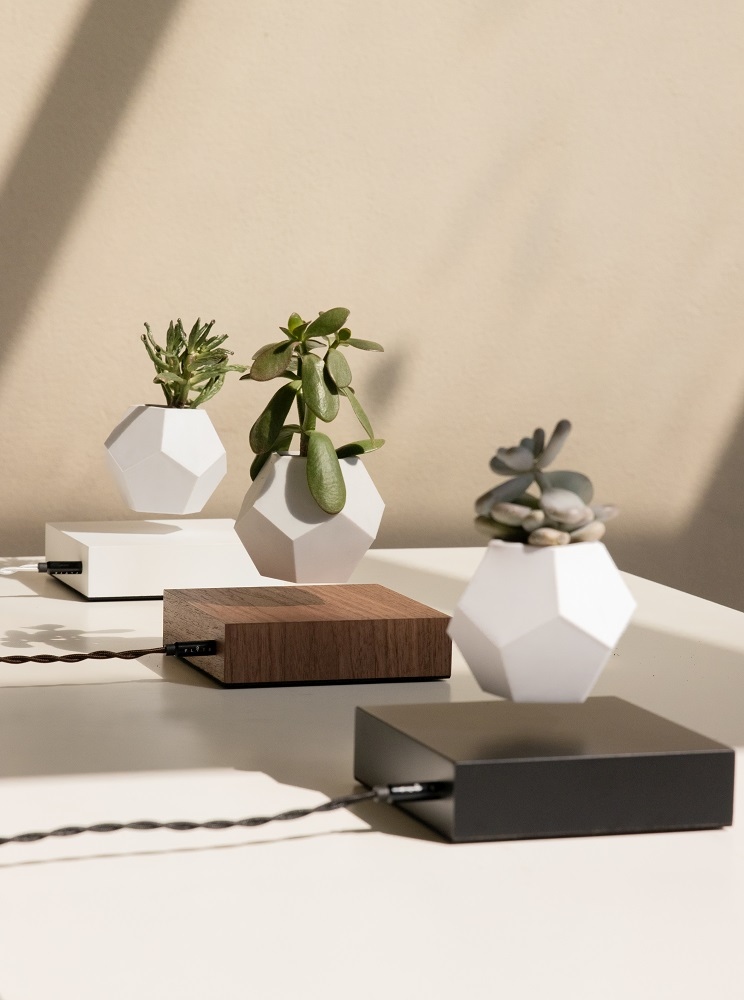 Lyfe schwebende Vase Klein & More Ahorn schwarz EINZELSTÜCK