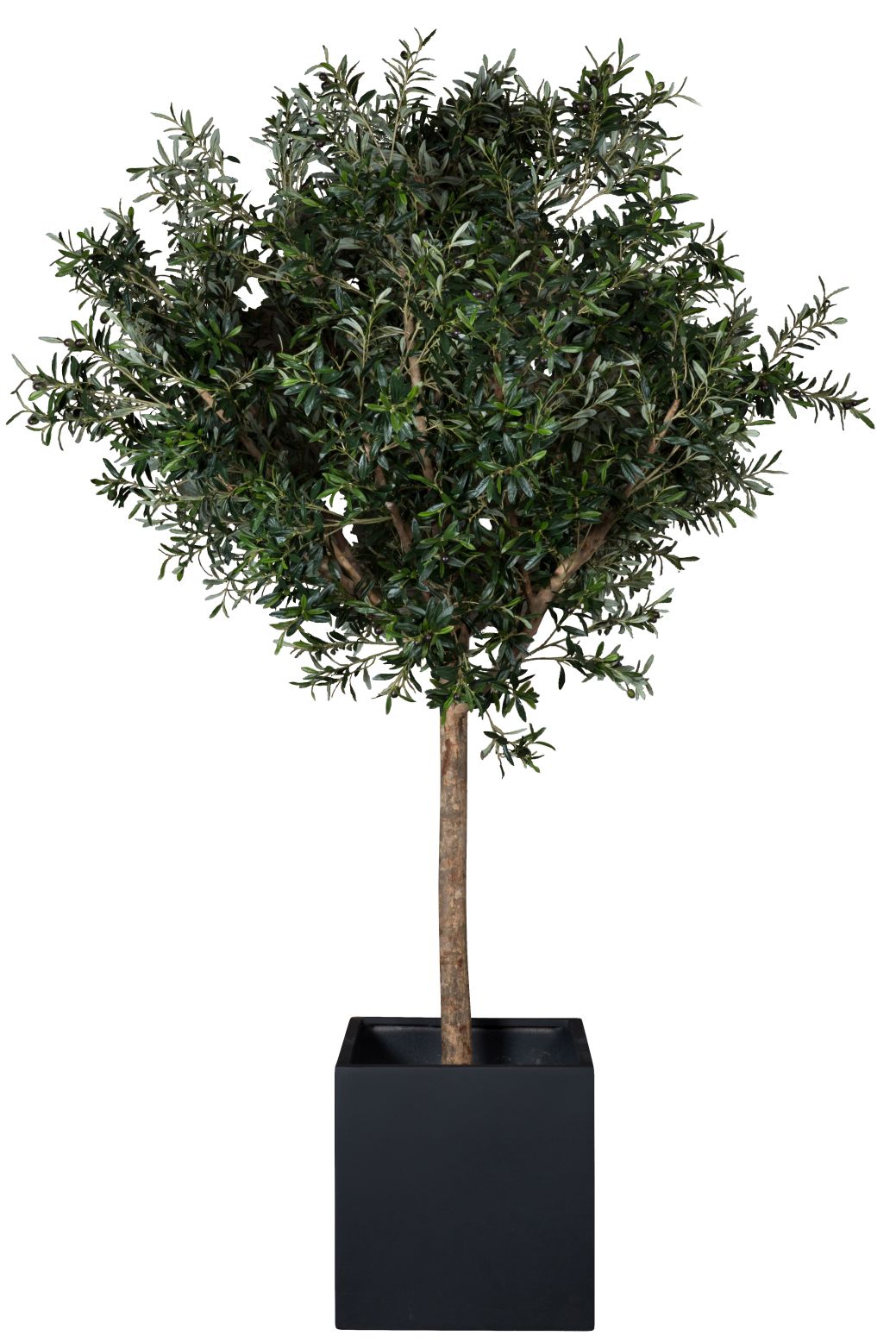 Künstlicher Olivenbaum in schwarzem Topf, ideal für dekorative Innenräume.