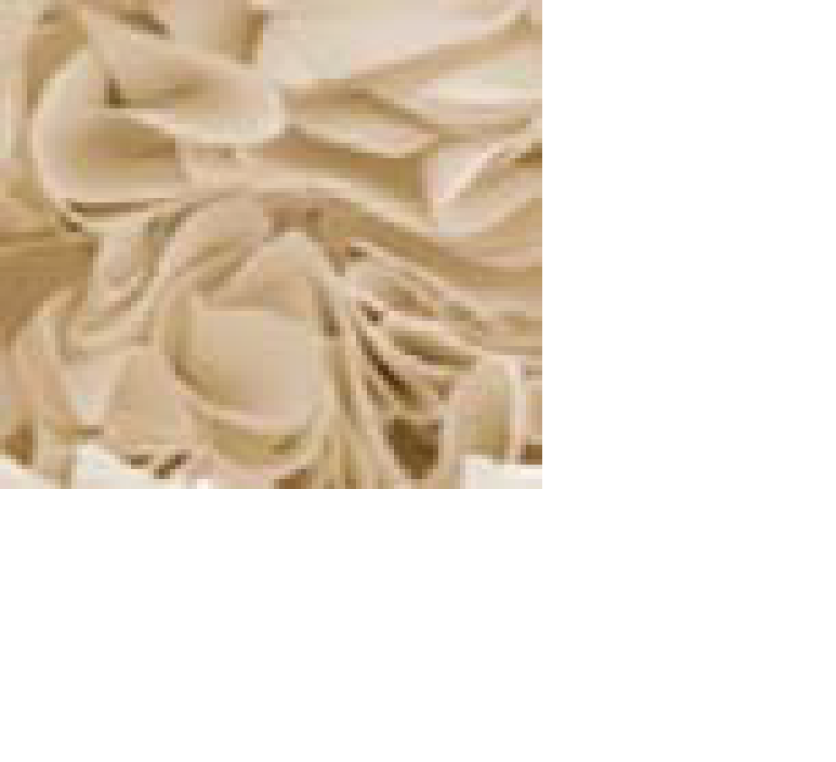 Blüten weiß / Rücken weiß