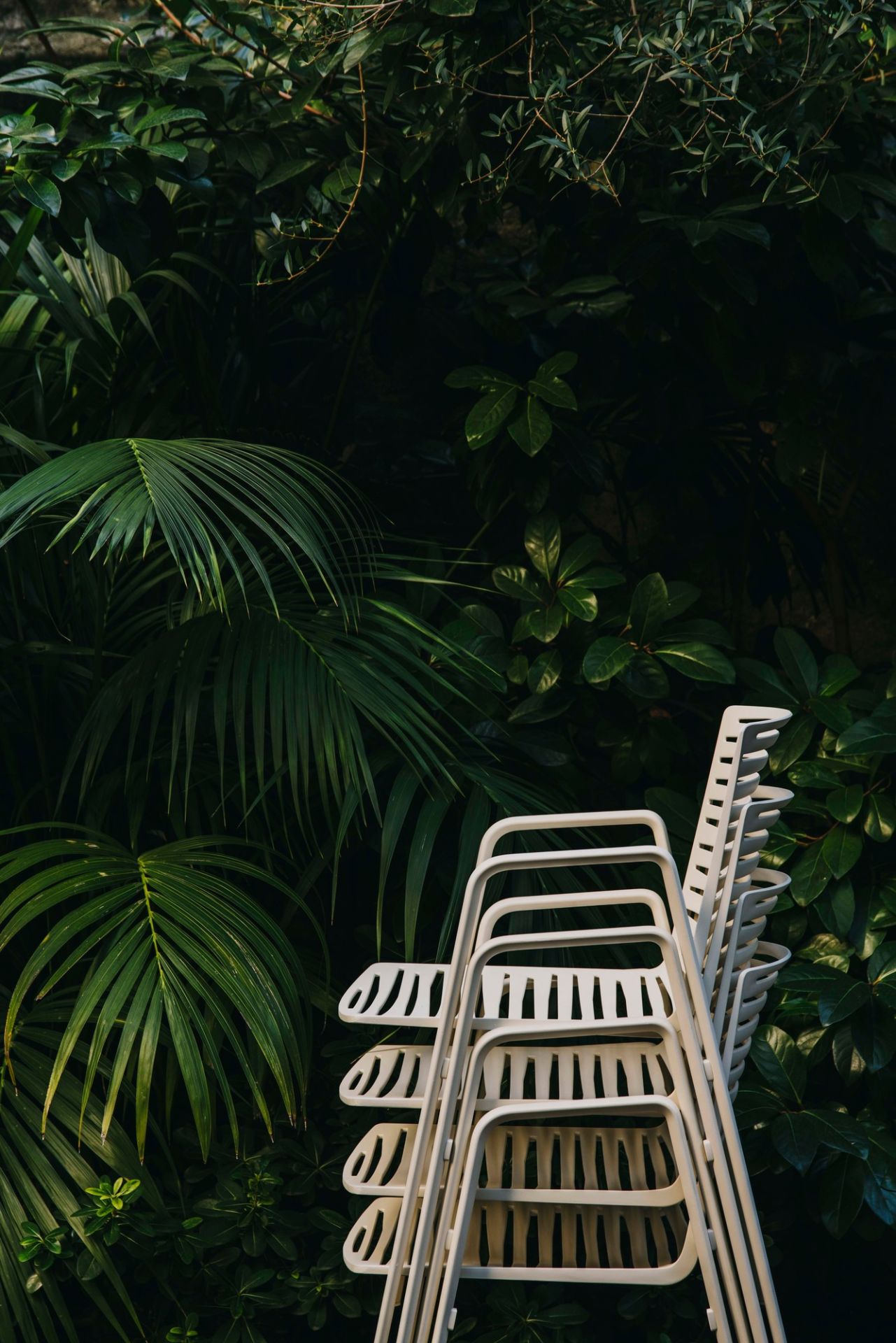 Zebra Outdoor Stuhl Fast