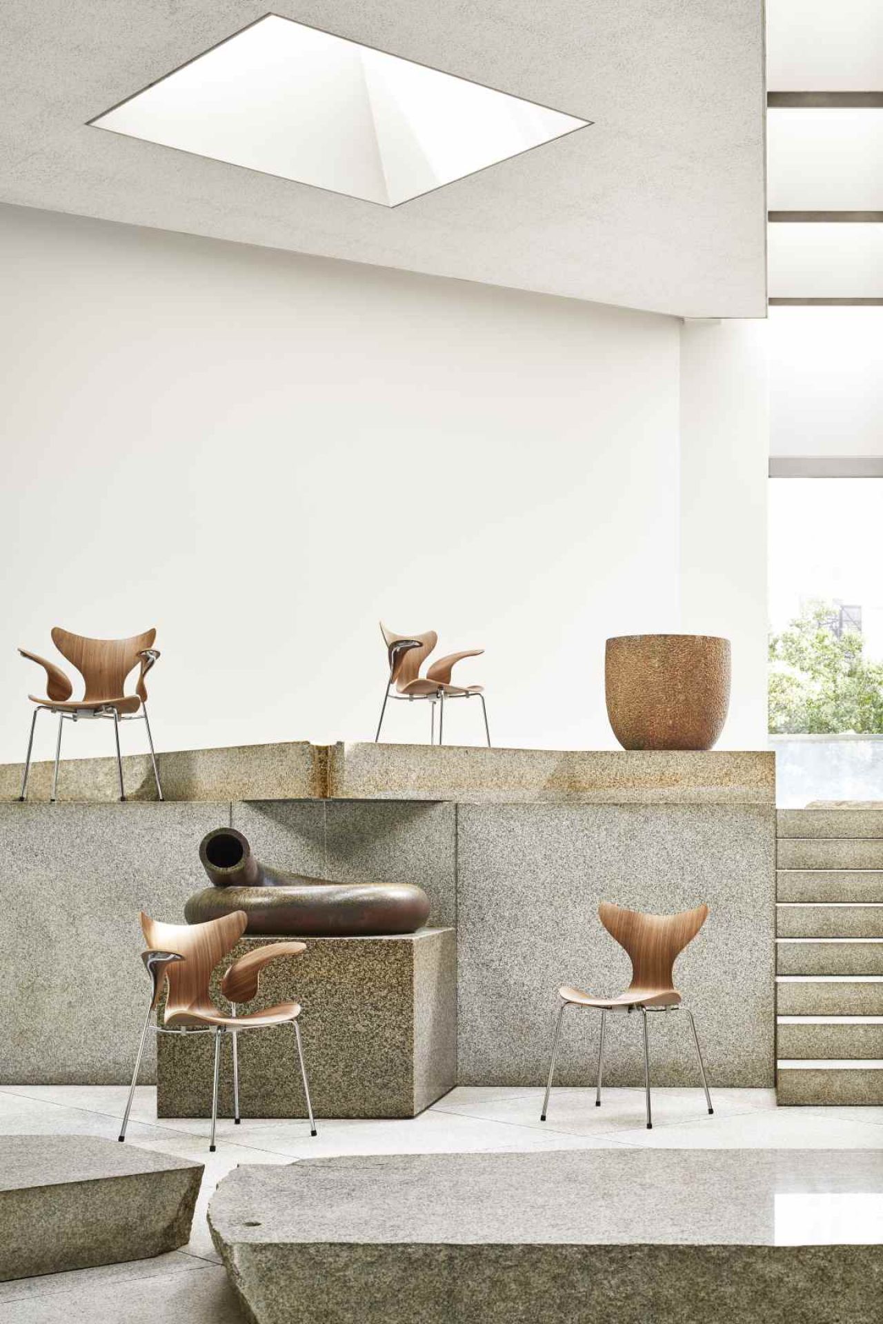 Mehrere Lily Stühle von Fritz Hansen, Holz und Chrom, in modernem Ausstellungsraum. Designklassiker.