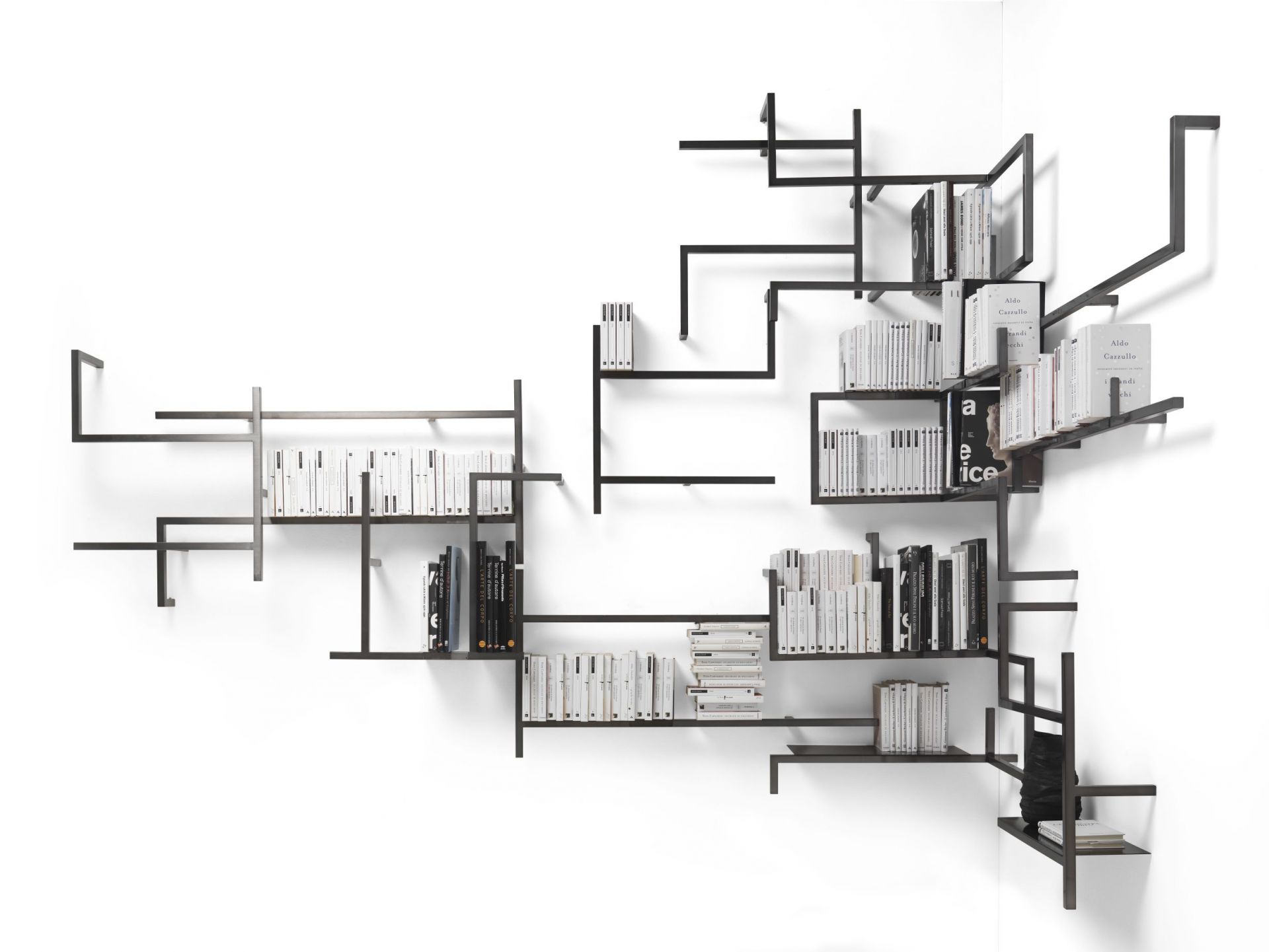 Antologia Wandregal-Modul F B120cm Mogg
