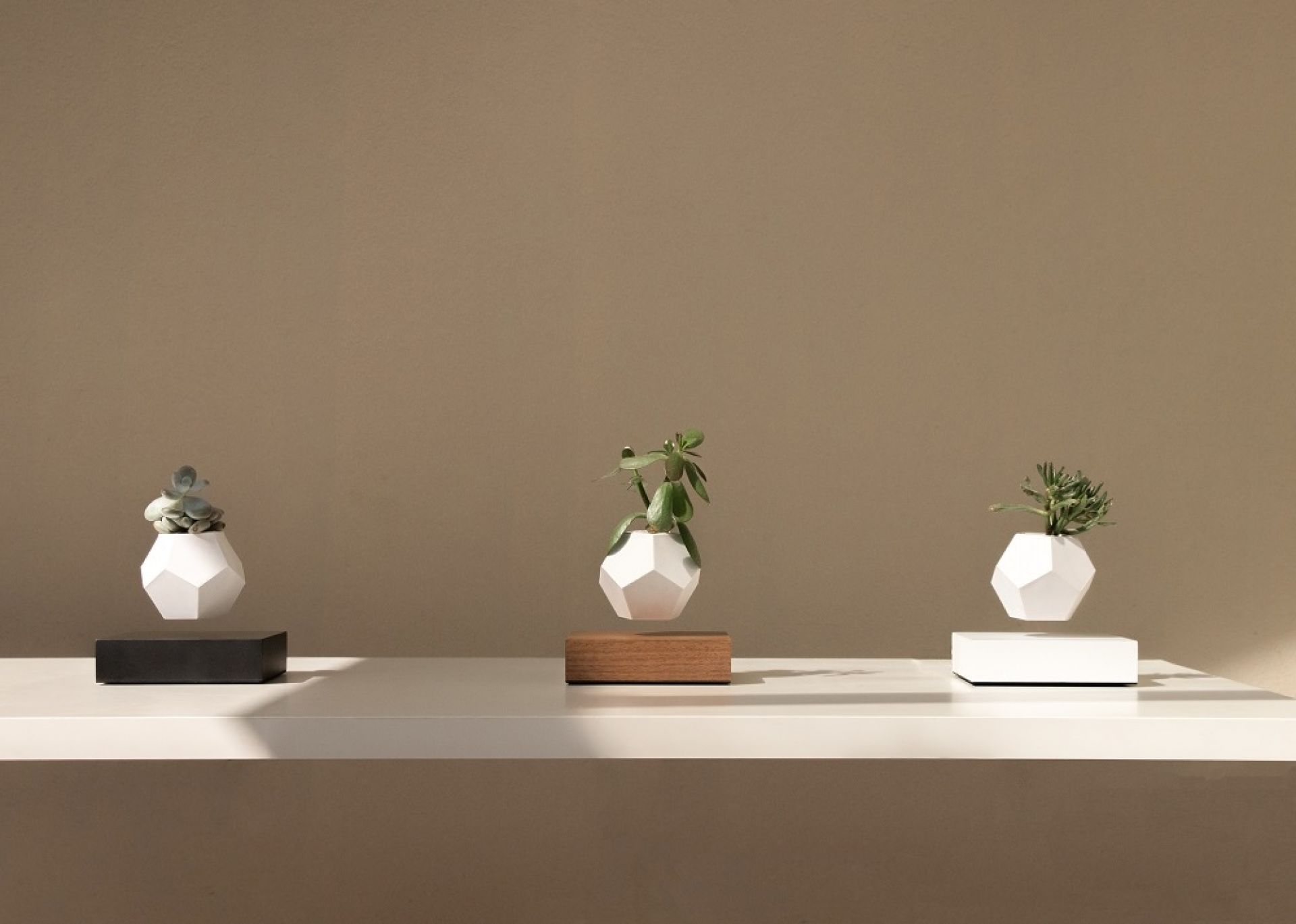 Drei schwebende Lyfe Vasen mit Pflanzen, moderne Dekoration für Zuhause und Büro.