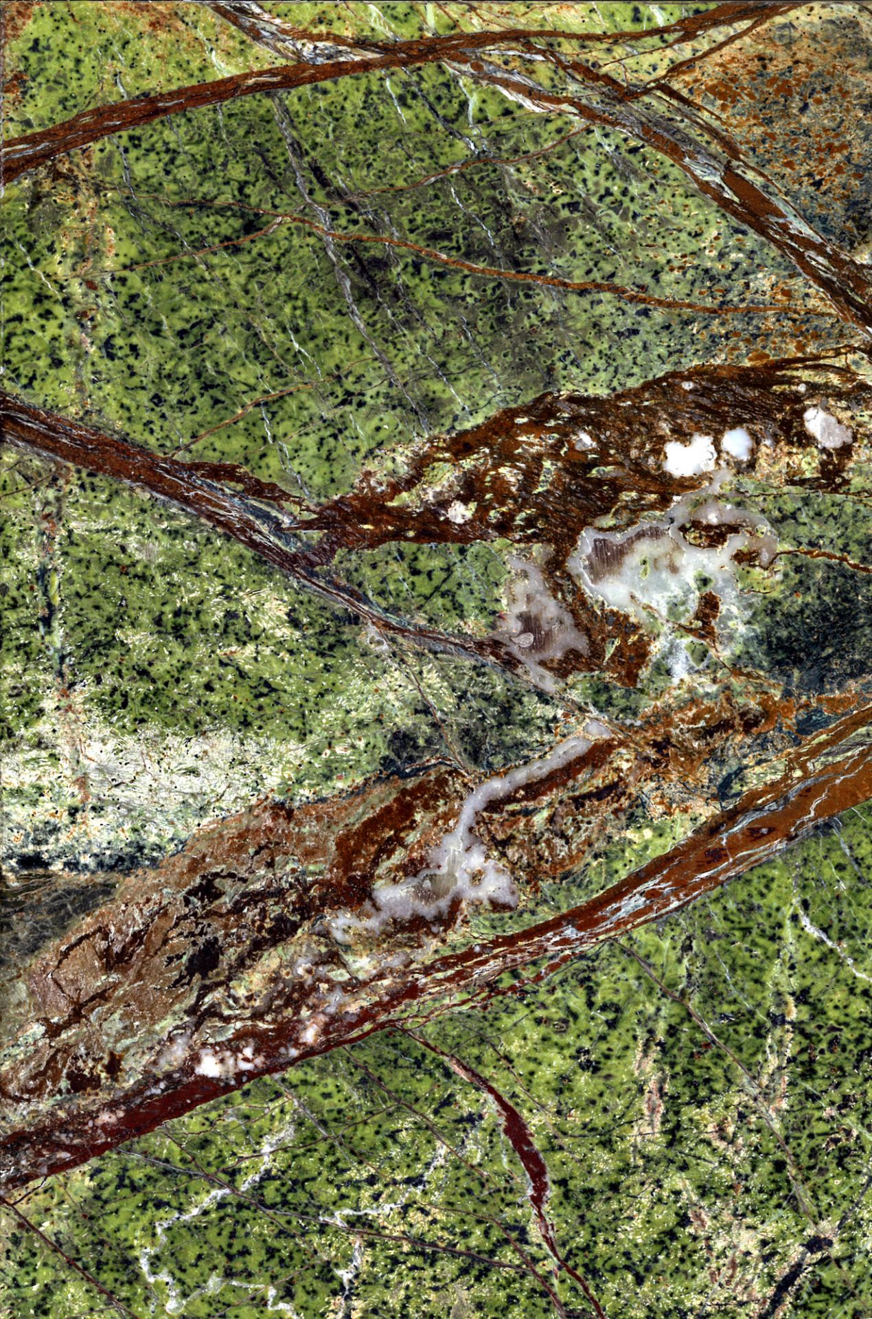 Tischplatte Marmor Rainforest green für ClassiCon Bell Side Table Beistelltisch, Detailaufnahme der grünen Marmorstruktur.