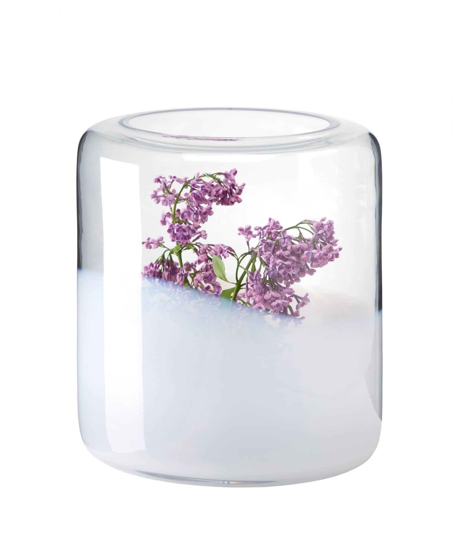 Glasvase Glasgow mit lila Blütenzweigen, moderne Blumenvase für stilvolle Dekoration.