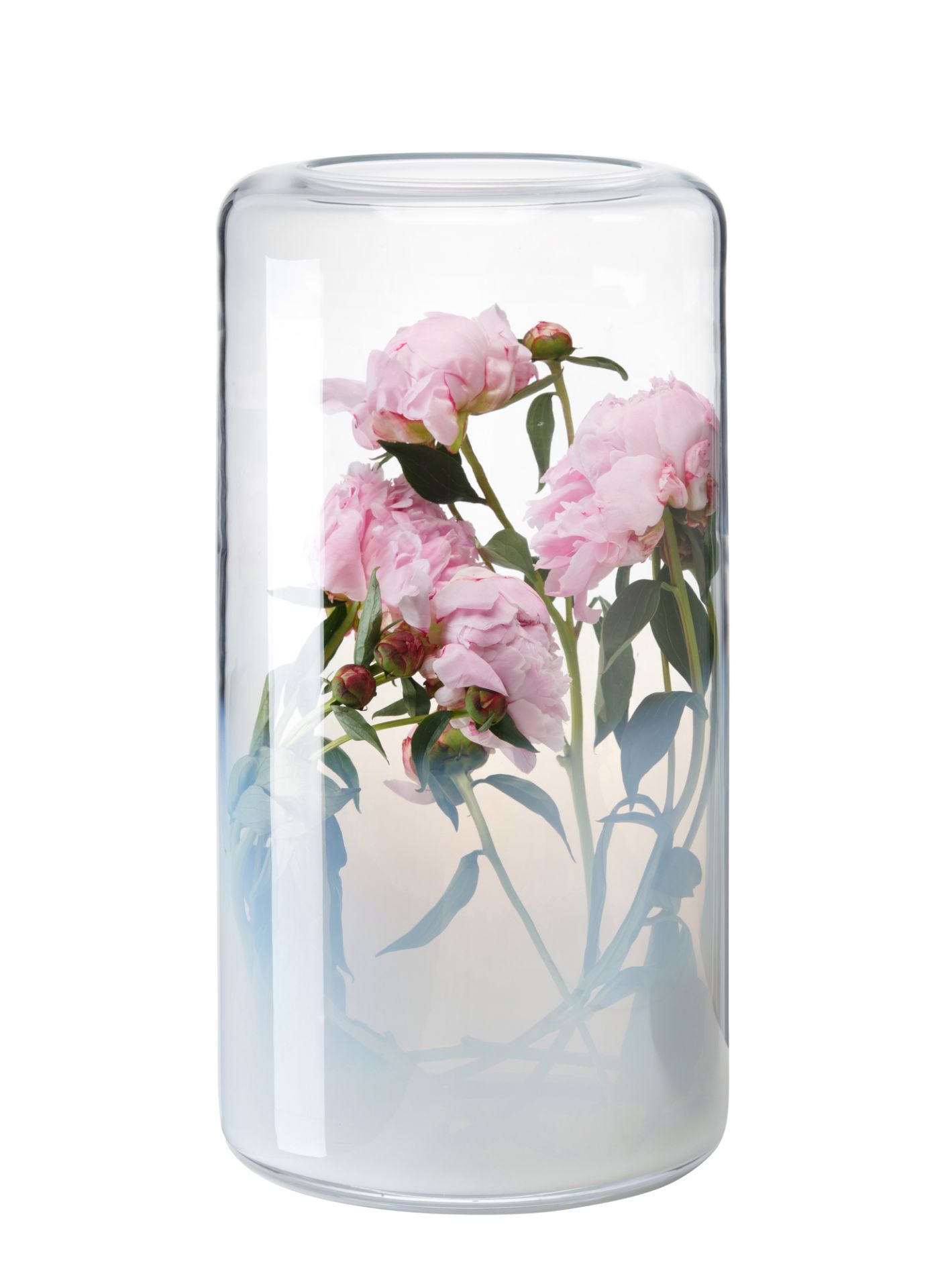 Transparente Glasgow Vase mit rosa Pfingstrosen, 45 cm, für stilvolle Blumendekoration.