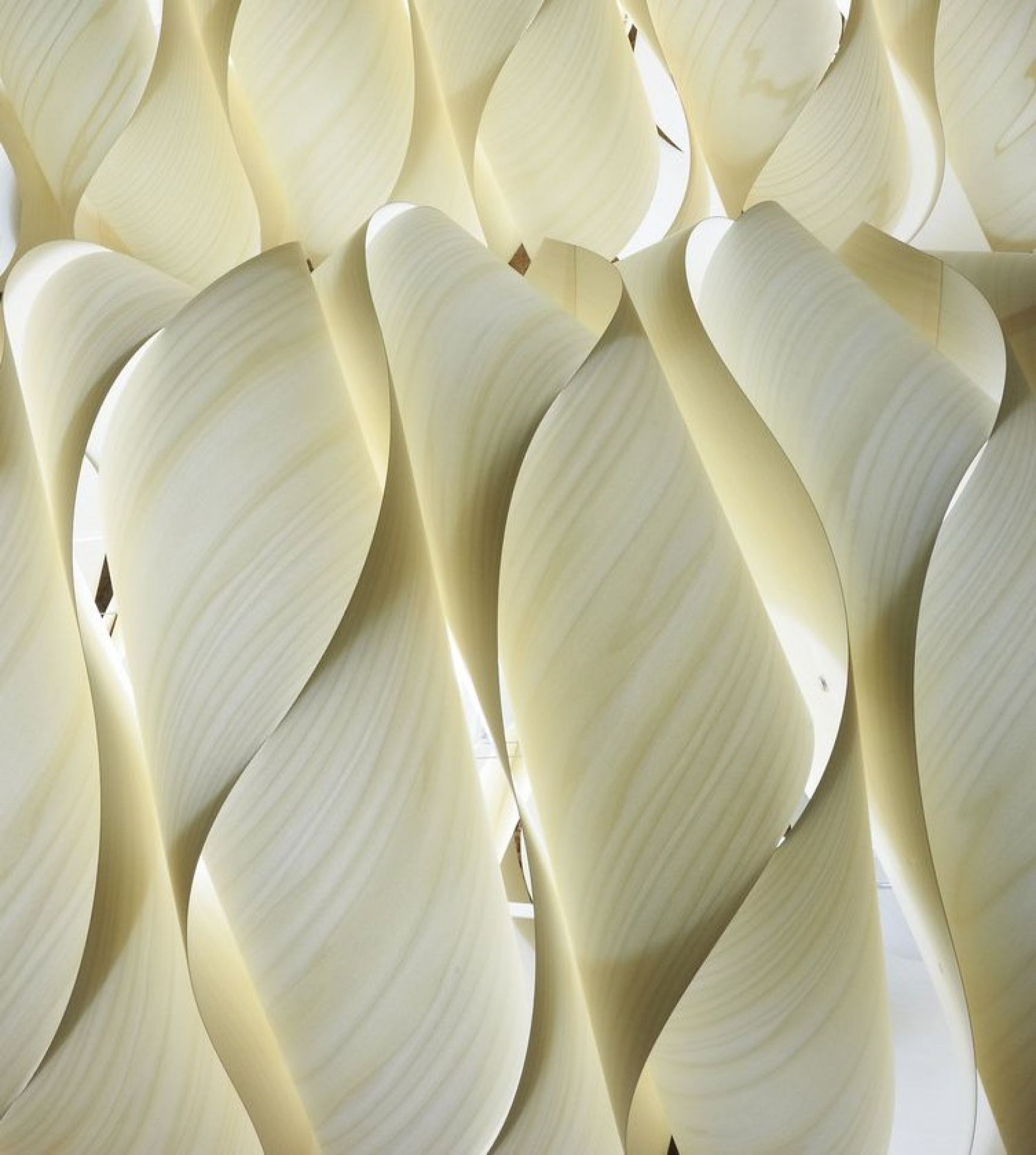 Detailaufnahme der Link Chain Pendelleuchte von LZF Lamps aus hellem Holzfurnier.