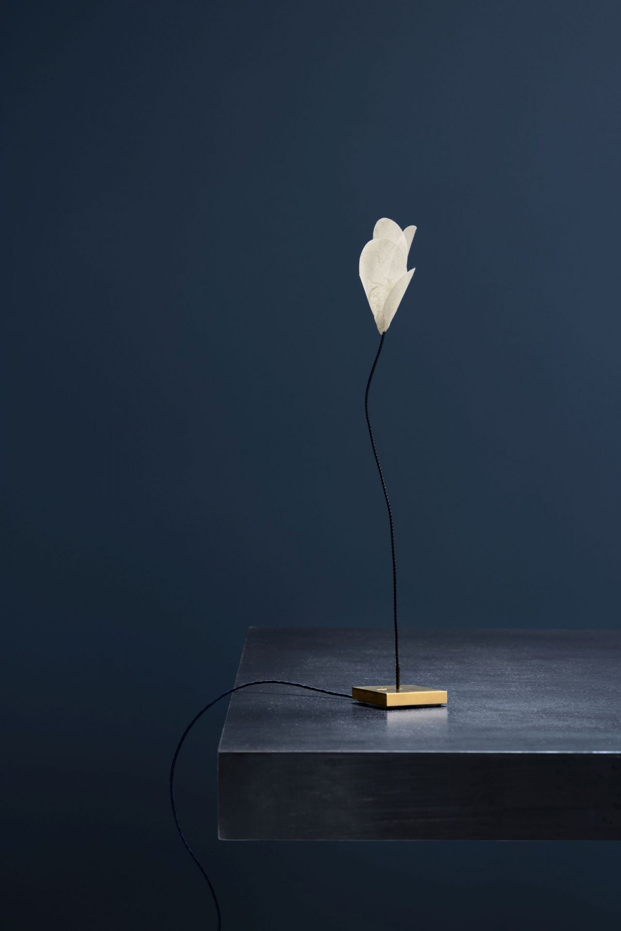 For You Tischleuchte von Catellani & Smith: Elegante USB Lampe mit floralem Lampenschirm.