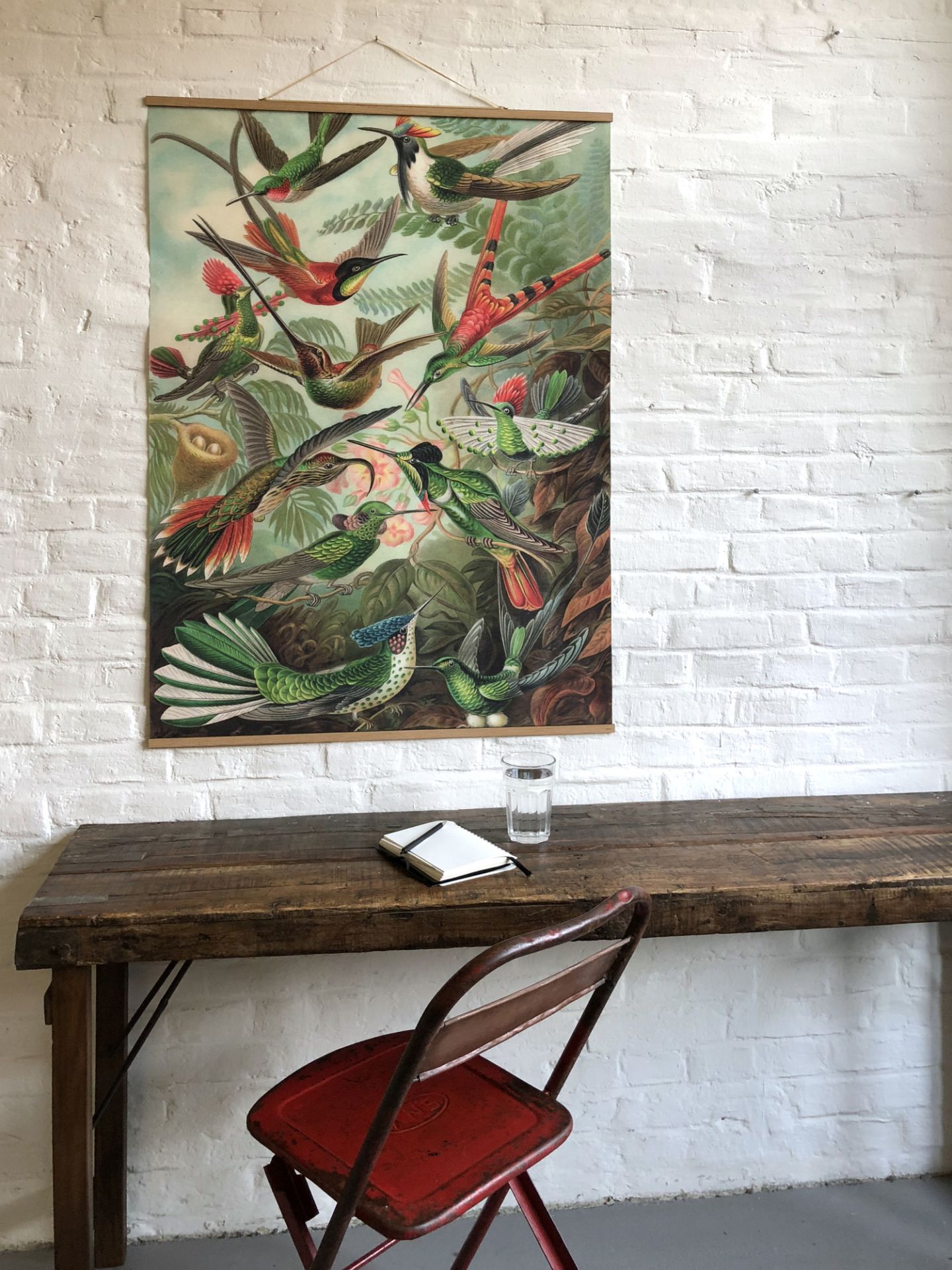 Fish Poster No 66: Vintage Wandbild mit Kolibris, dekorative Vogel Illustration für Wohnzimmer und Büro.