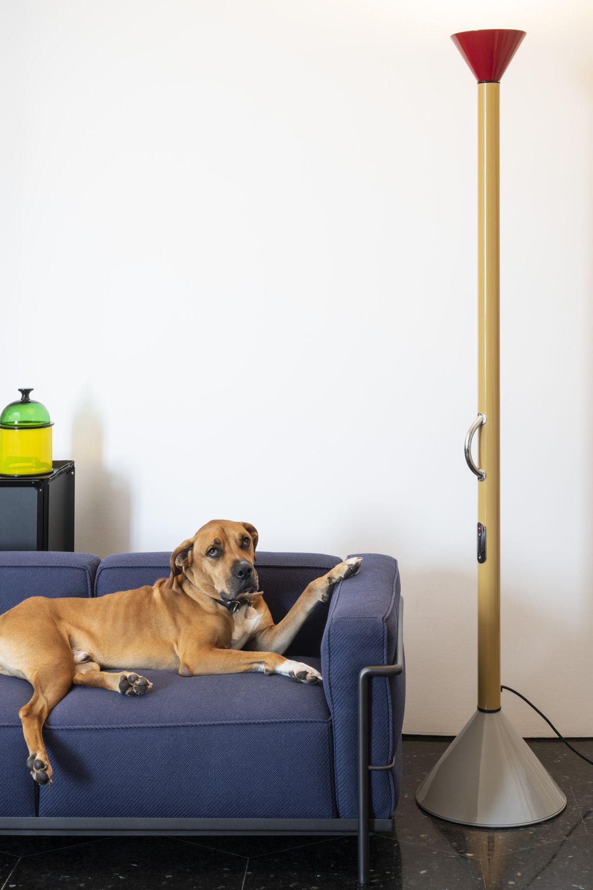 Callimaco Stehleuchte von Artemide neben Hund auf blauem Sofa. Design Lampe für Wohnzimmer.