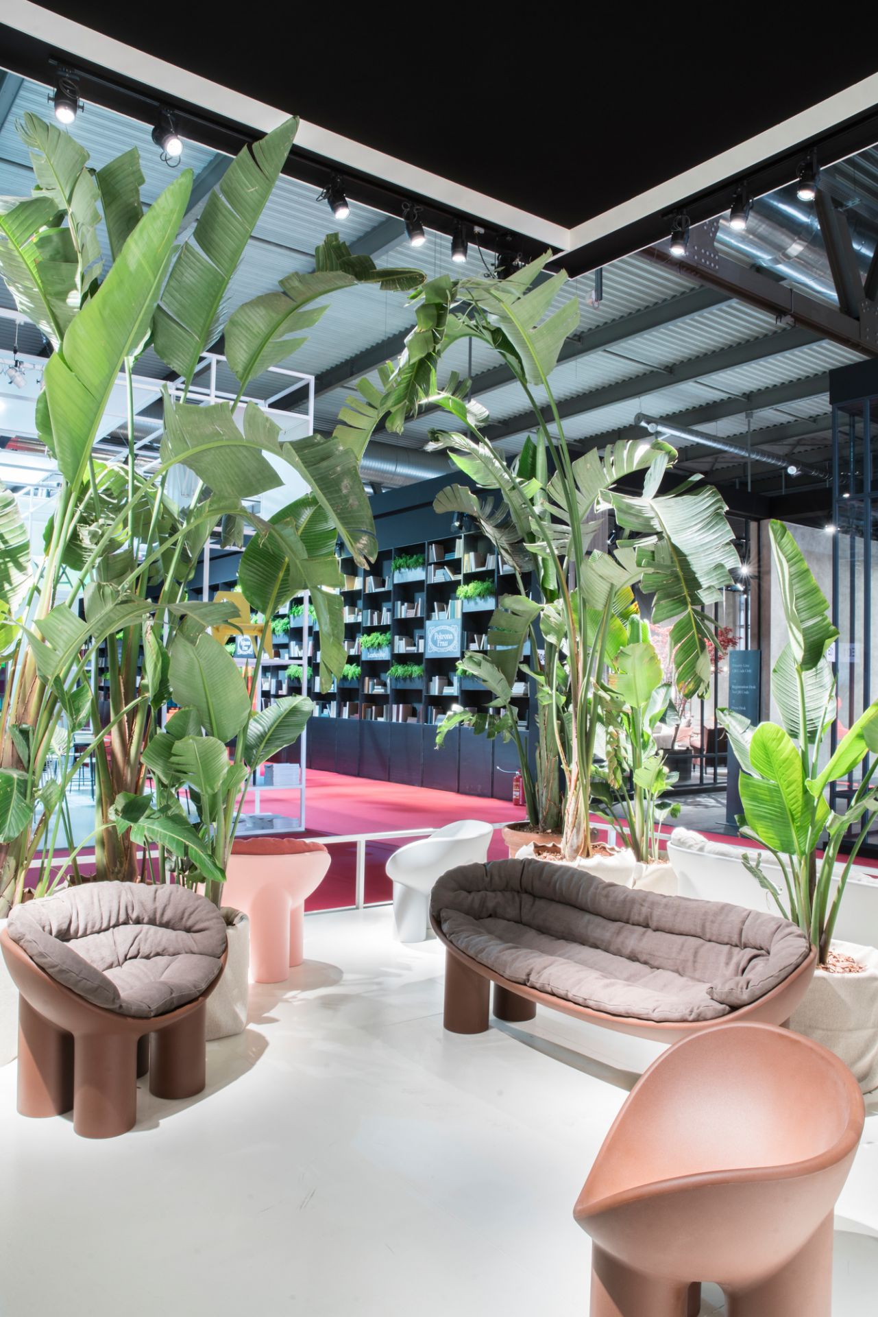 Roly Poly Bank Driade Flesh und Sessel in modernem Design, braun und rosa.