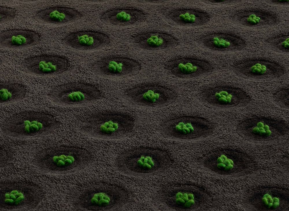 Rechteckiger La Geria Teppich von Gan mit Muster aus grünen Pflanzen auf dunklem Grund.