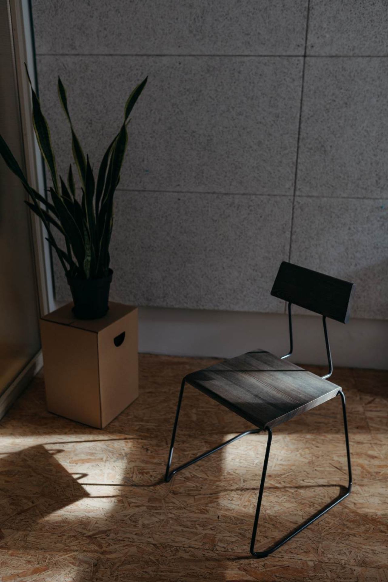 D:005 Stuhl Fuchs & Habicht: Moderner Holzstuhl mit schwarzem Metallgestell neben einer Zimmerpflanze.