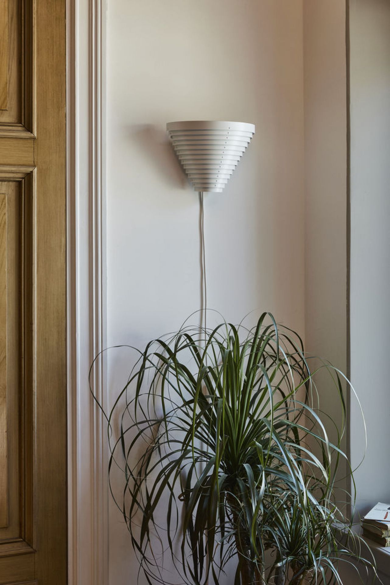 Weiße Artek A910 Wandleuchte mit konischem Schirm an einer Wand, neben einer Zimmerpflanze.
