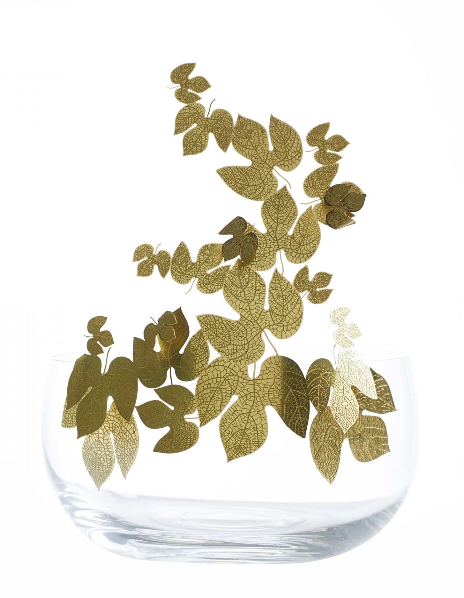 Frutteti Schale Opinion Ciatti