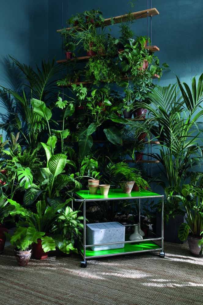 USM Haller Inos Box hoch mit Unterteilung quer / längs