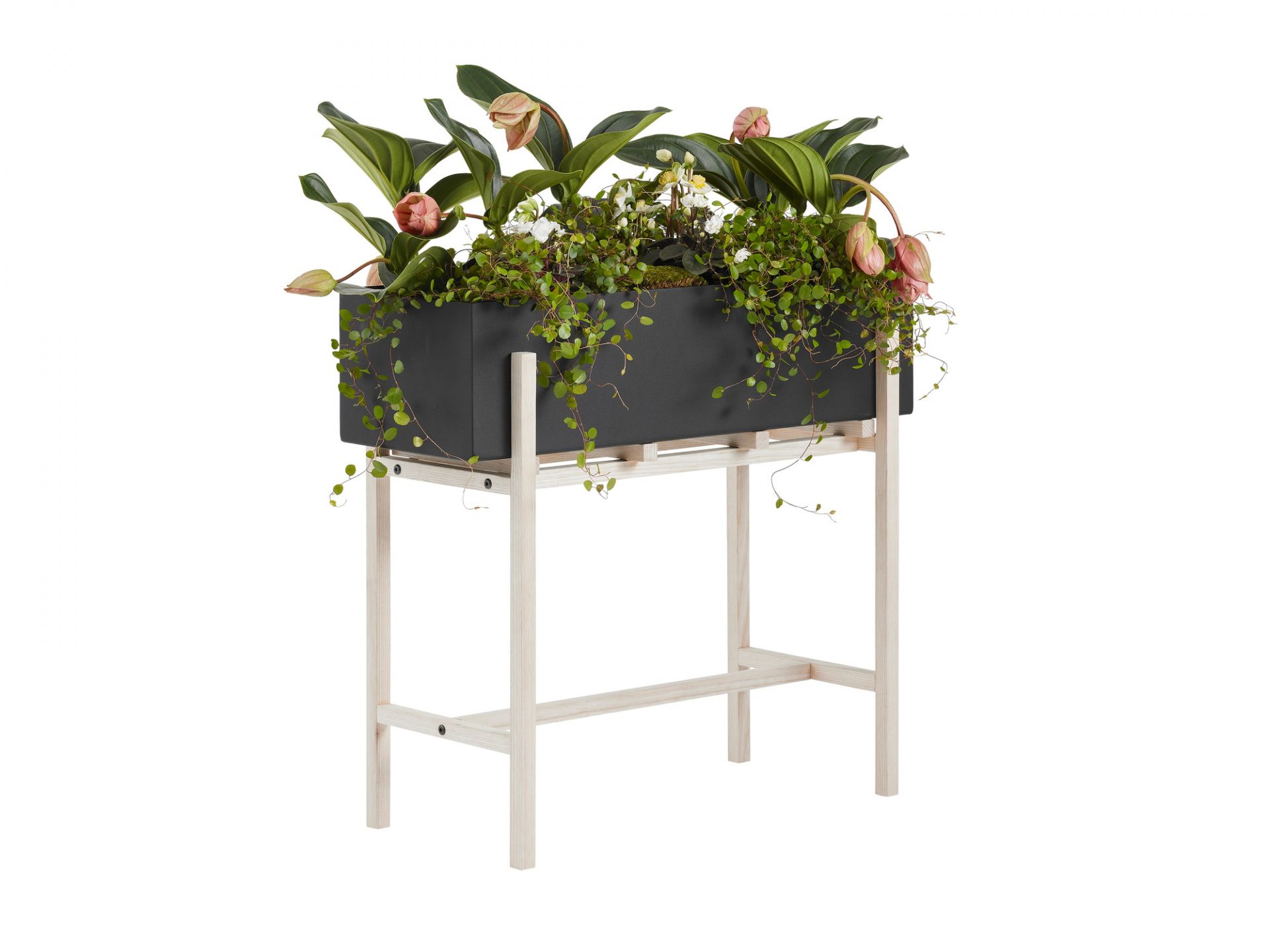 Botanic Flower Stand Blumenkasten von Design House Stockholm mit Pflanzen auf hellem Holzgestell.