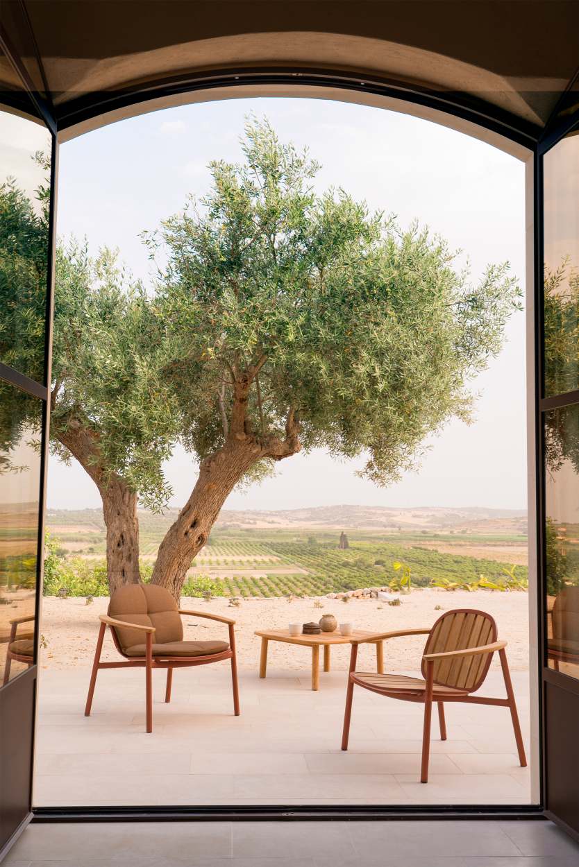 Zwei Emu Twins Lounge Chairs mit Armlehnen und Tisch auf einer Terrasse mit Olivenbaum.