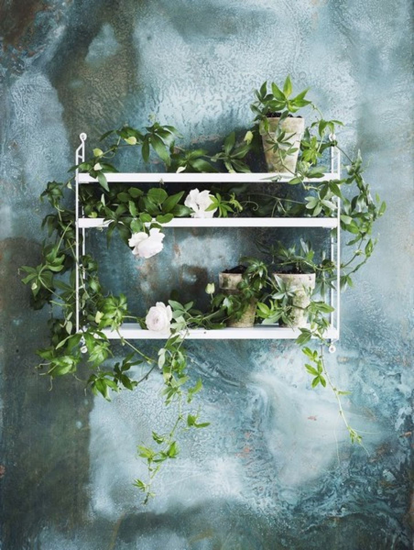 Weißes String Regal mit Pflanzen und Blumen vor einer blauen Wand.