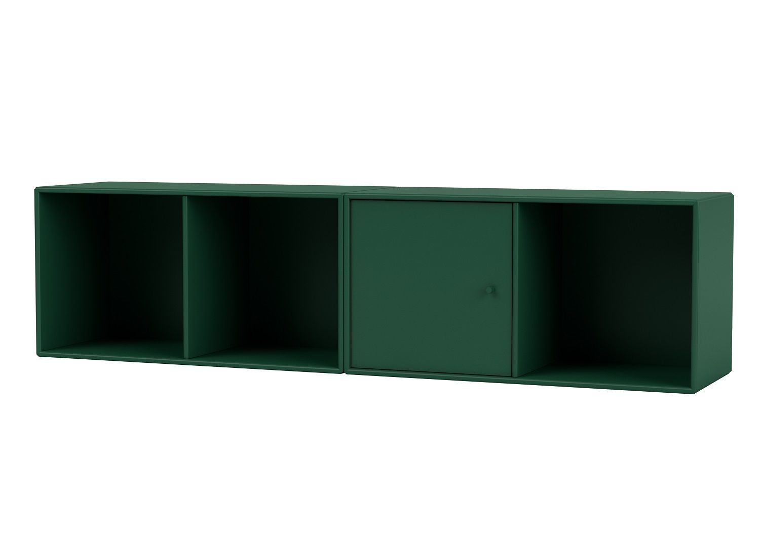 Grünes Montana LINE Wandregal mit Fächern und Tür, modernes Design für Wohnzimmer.