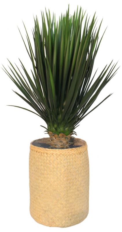 Nairobie Schefflera Kunstpflanze Tanaman | TANAMAN A PT10 TR4