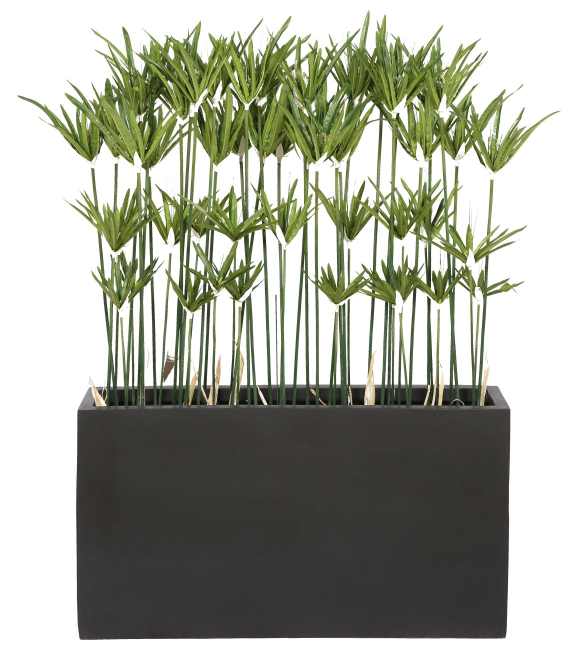 Kyoto Paapyrus Kunstpflanze Tanaman 