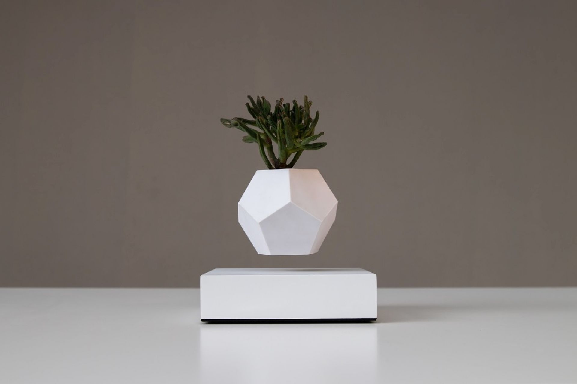 Lyfe schwebende Vase Klein & More Ahorn weiß EINZELSTÜCK