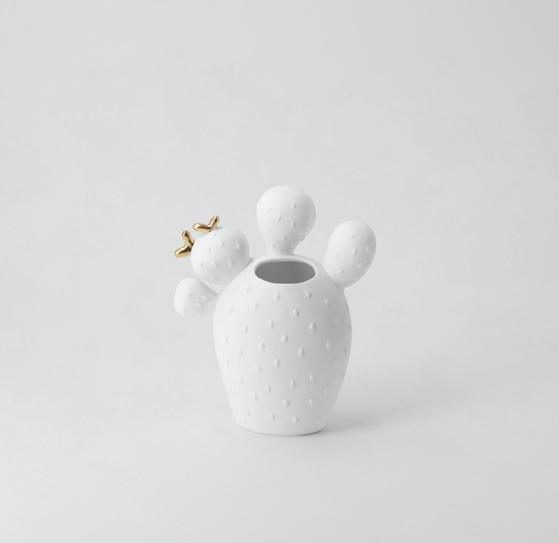 Kakteenvase Feigenkaktus Räder