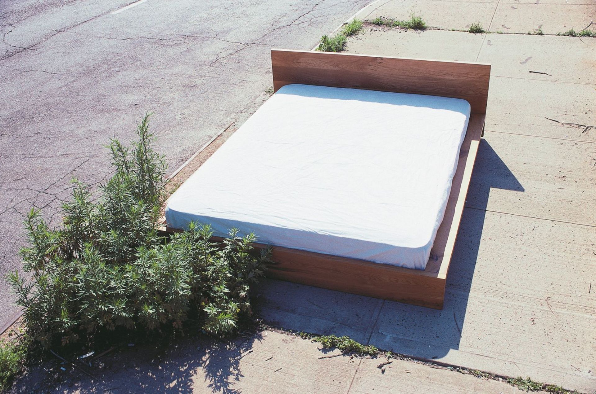 SL02 MO Bett aus Eiche ohne Lattenrost, 185x70 cm. Modernes Holzbett für Schlafzimmer.