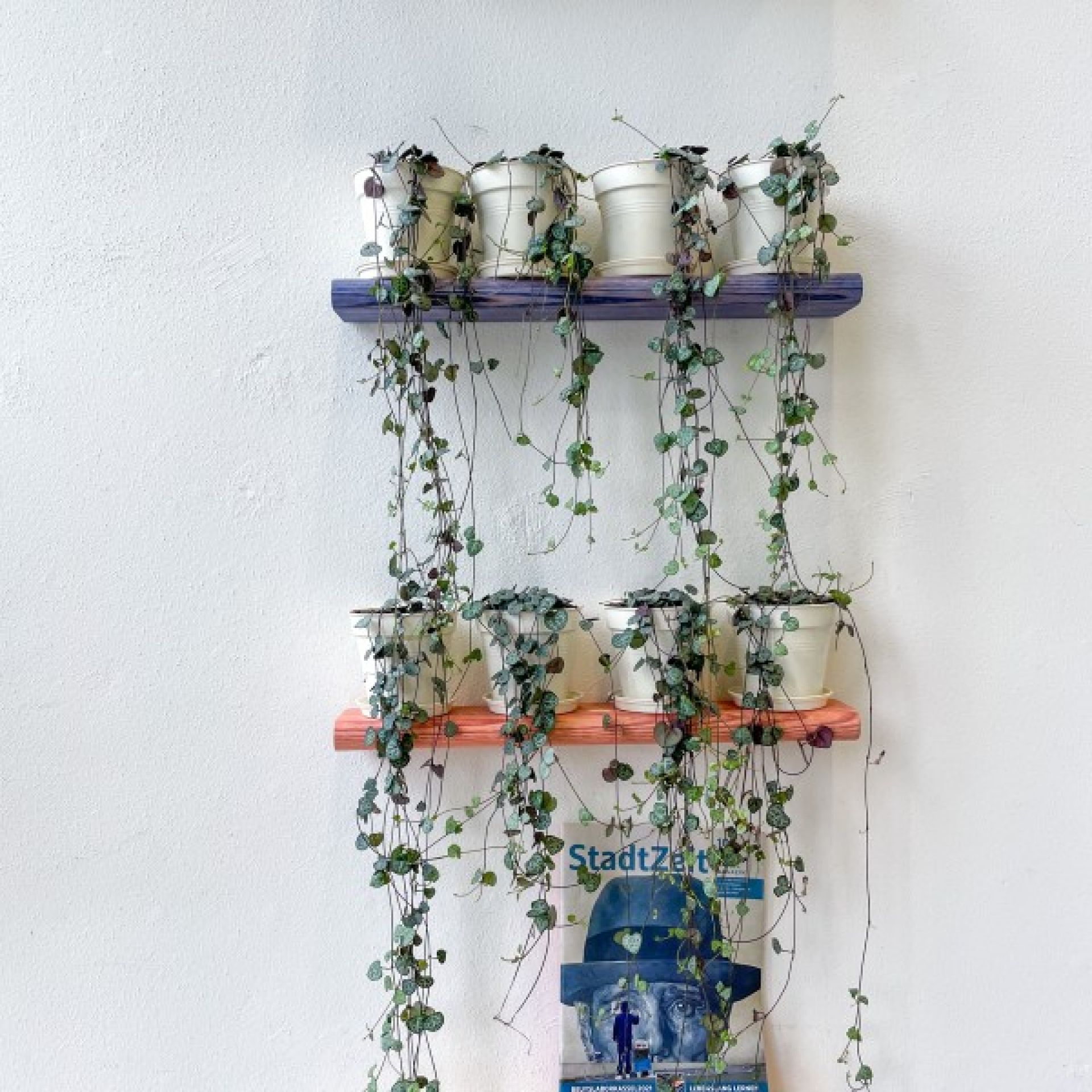 D:001 Wandregal Fuchs & Habicht