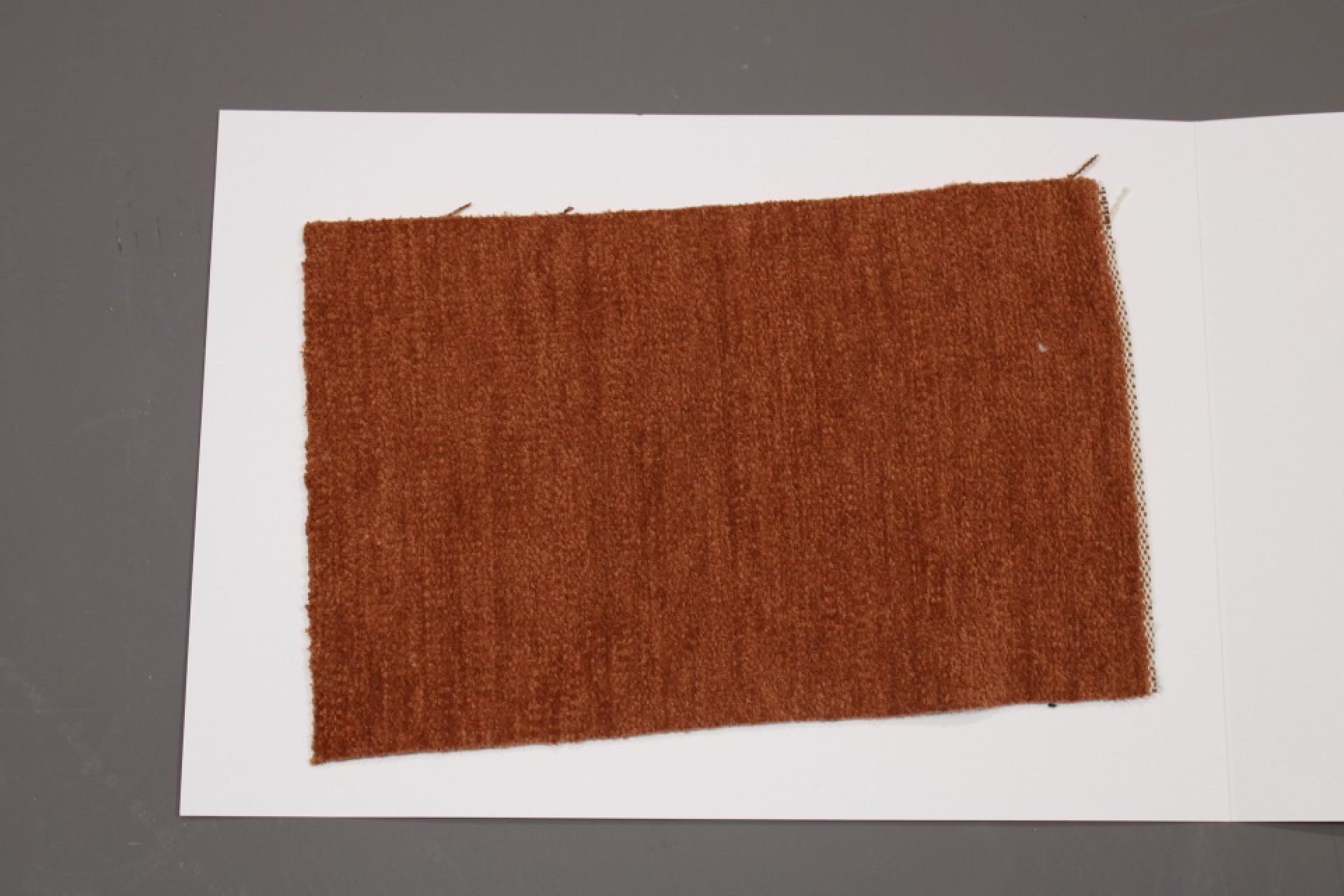 Stoffmusterkarte Gruppe 81 Cor: Nahaufnahme eines braunen, gewebten Stoffmusters für Möbel und Polster.