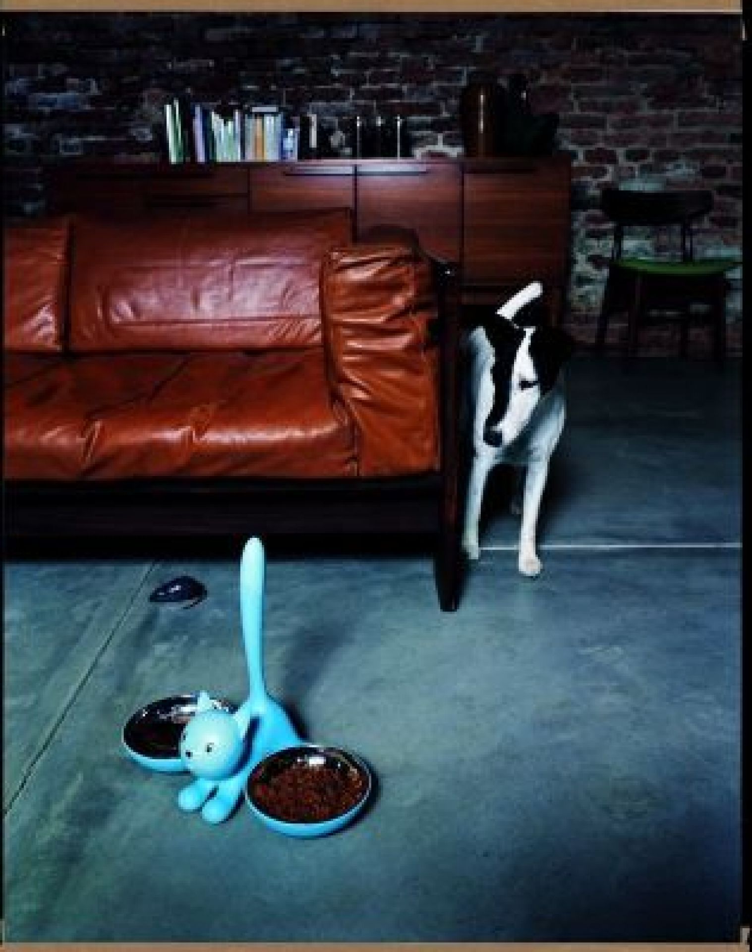 AMMI09 Tigrito Katzennapf Alessi