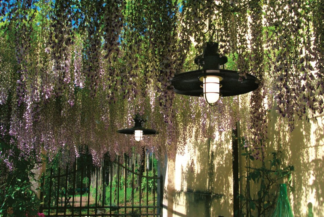 Polo Outdoor Pendelleuchte von Martinelli Luce in Weiß, hängend im Garten unter blühenden Pflanzen.