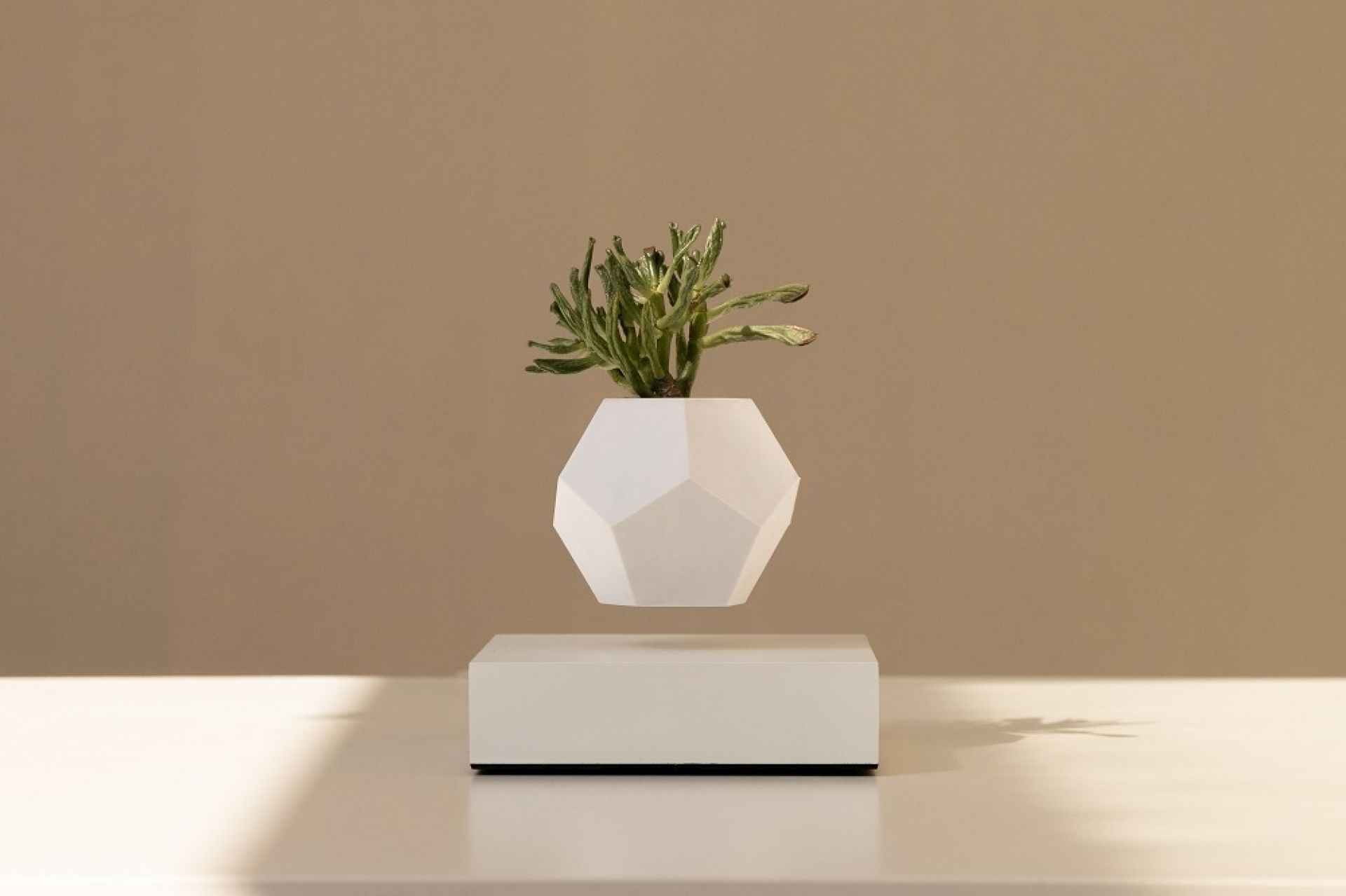 Lyfe schwebende Vase in Weiß mit Pflanze, magnetisch schwebend über dem Sockel. Dekorative Zimmerpflanze.