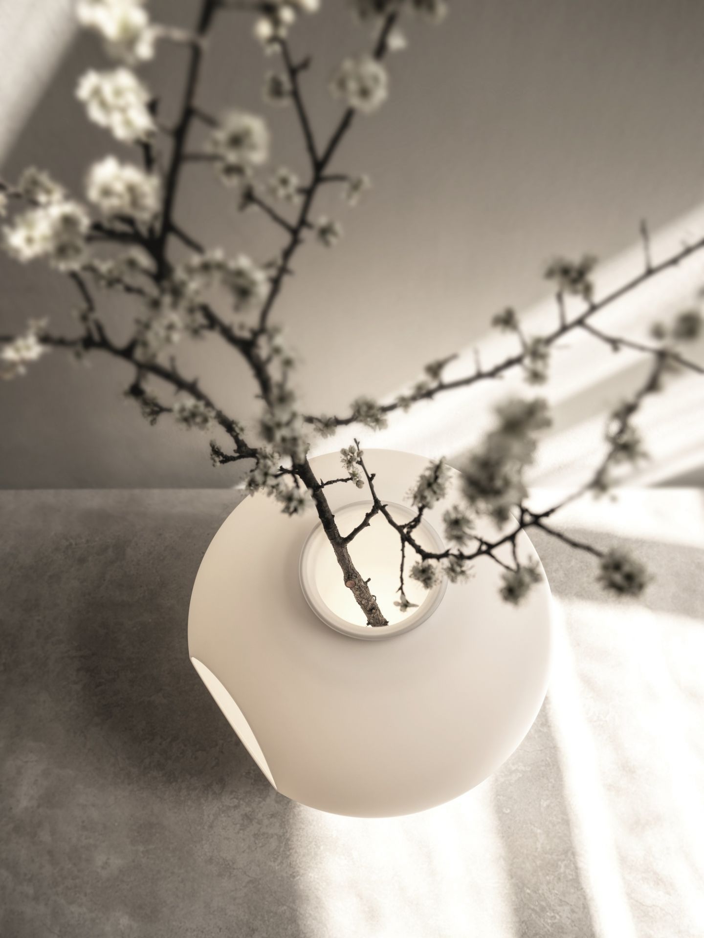 Nahaufnahme der Madre LED Tischleuchte von Foscarini mit blühendem Zweig.