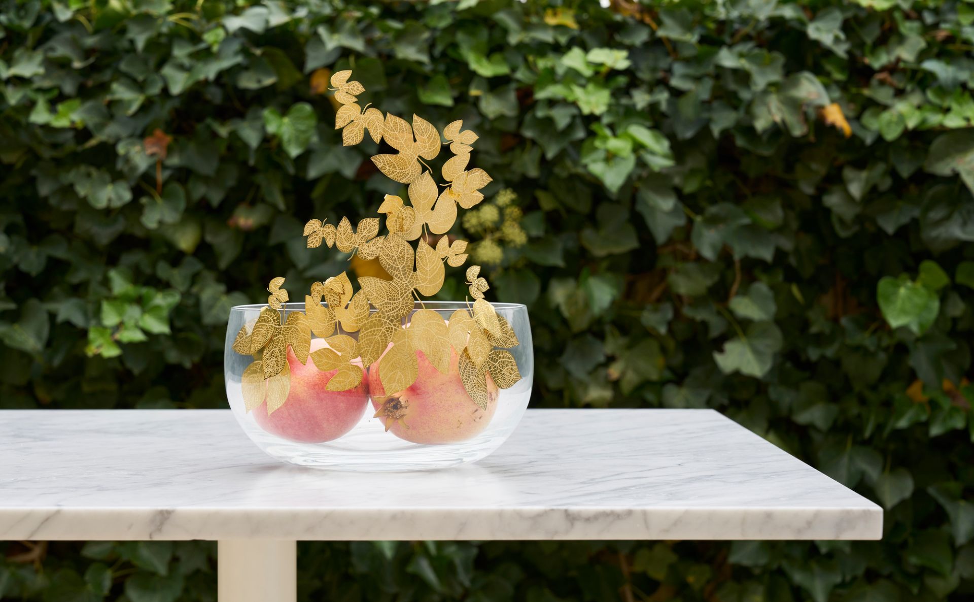 Frutteti Schale Opinion Ciatti