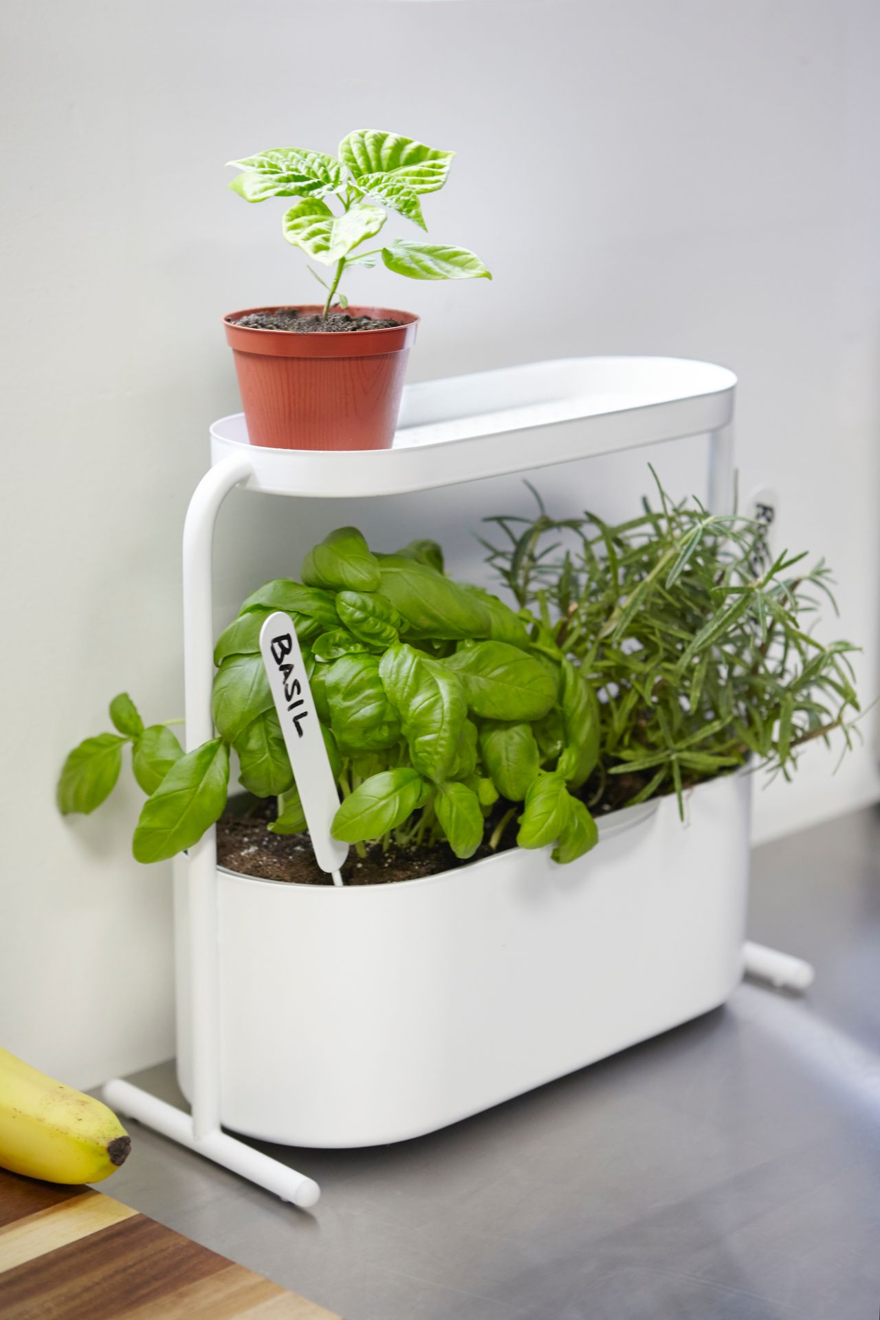 Giardino Planter Kräutertopf Umbra EINZELSTÜCK