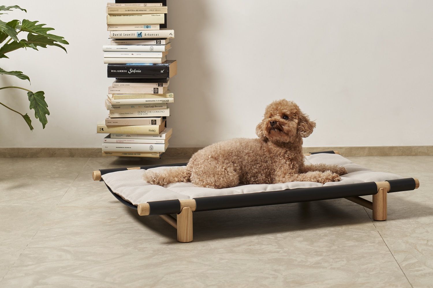 Brauner Pudel liegt entspannt auf Berberé Hundebett mit Kissenbezug von Opinion Ciatti.