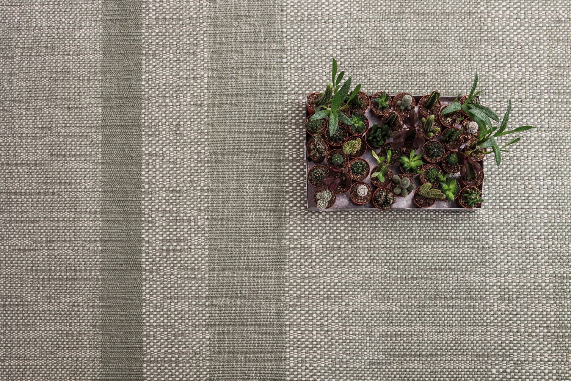 Detailaufnahme des grünen Nanimarquina Tres Texture Teppichs (250x350 cm) mit Kaktus-Dekoration, ideal für Wohnzimmer und Schlafzimmer.