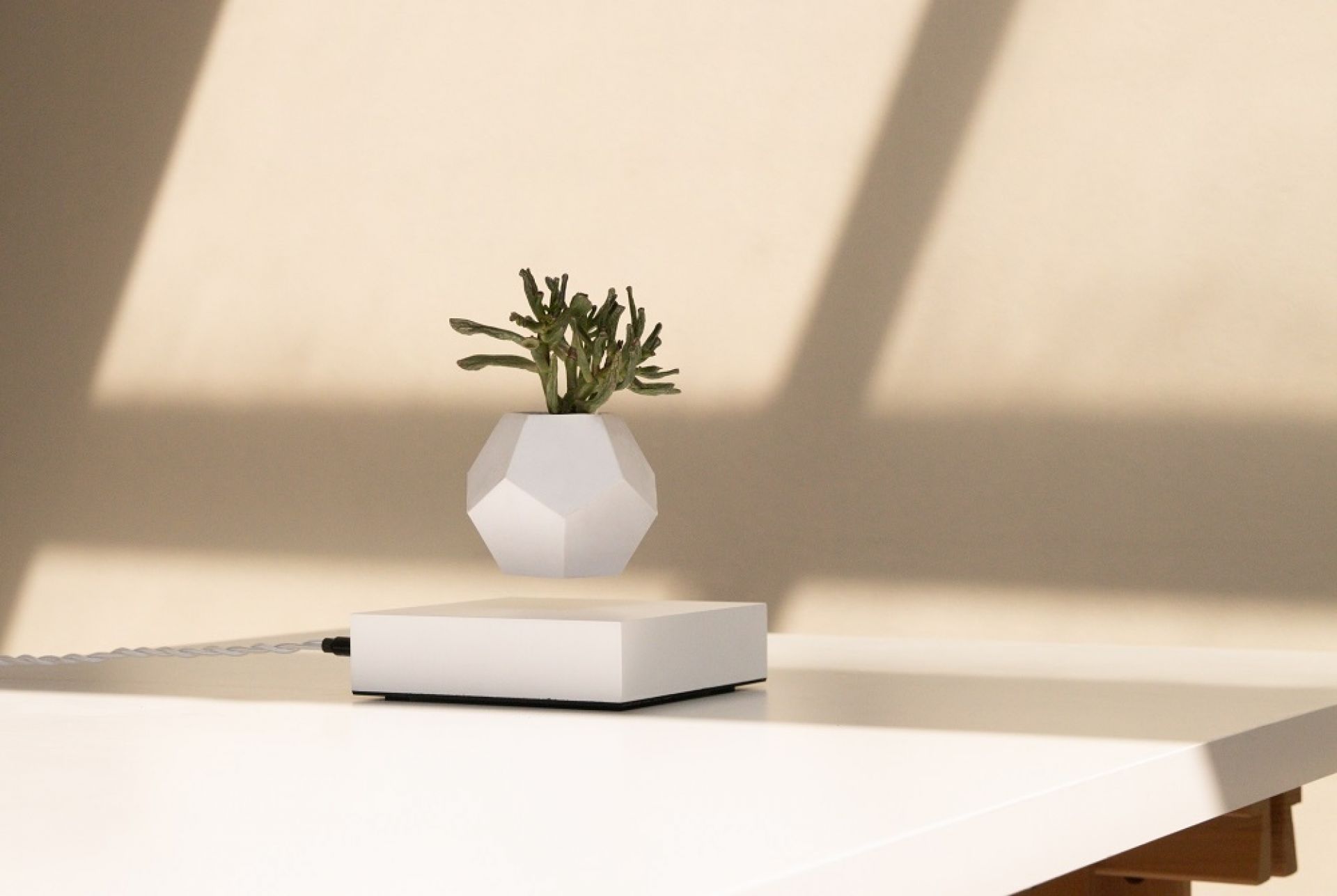 Lyfe schwebende Vase in Weiß mit Pflanze, die über einem weißen Sockel schwebt.