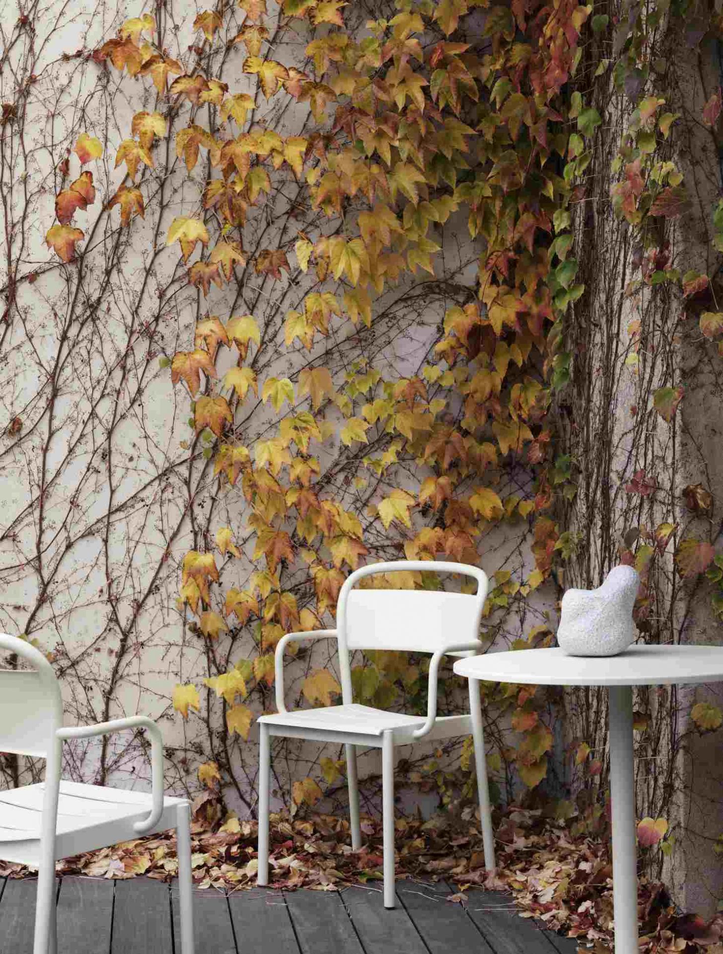 Grauer Linear Steel Armchair Outdoor Armlehnenstuhl von Muuto vor einer Wand mit Herbstlaub.