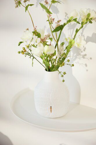 Vase Gräser im Wind Räder