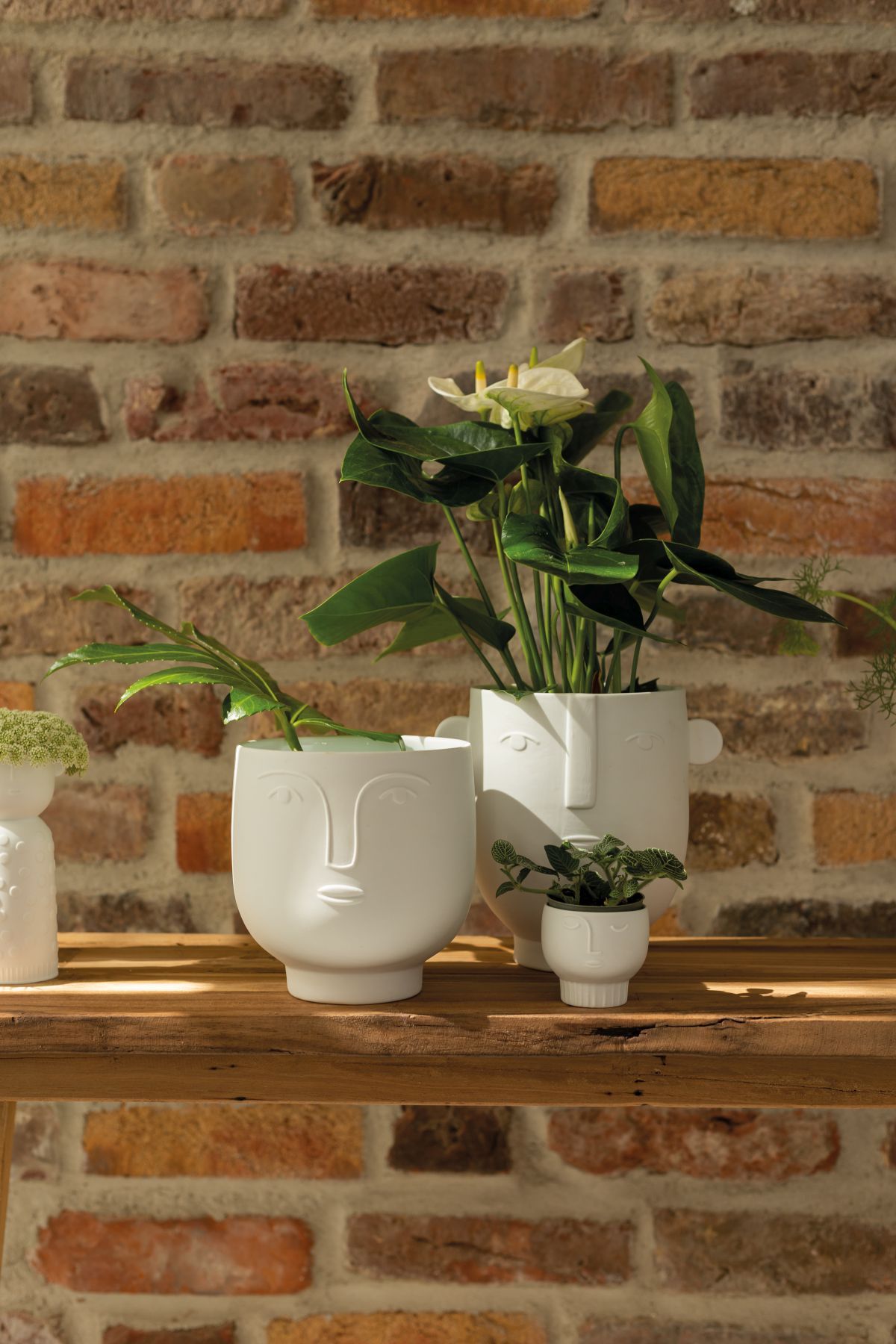 Weiße Naturgestalten Vase Flora von Räder mit stilisiertem Gesicht und Pflanzen auf Holzregal.