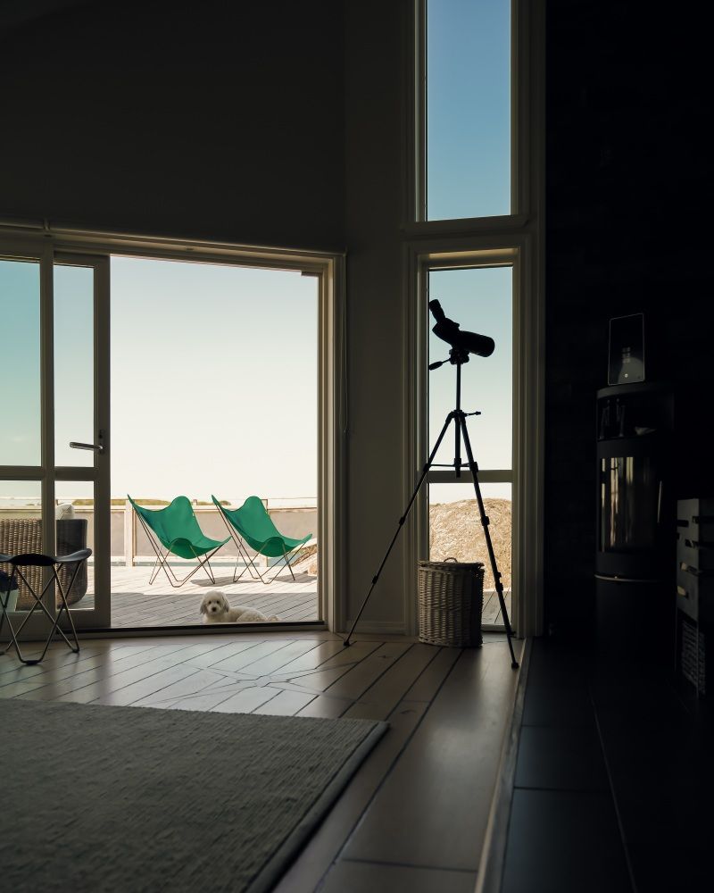 Mariposa Outdoor Butterfly Chair Sessel Cuero Forest green