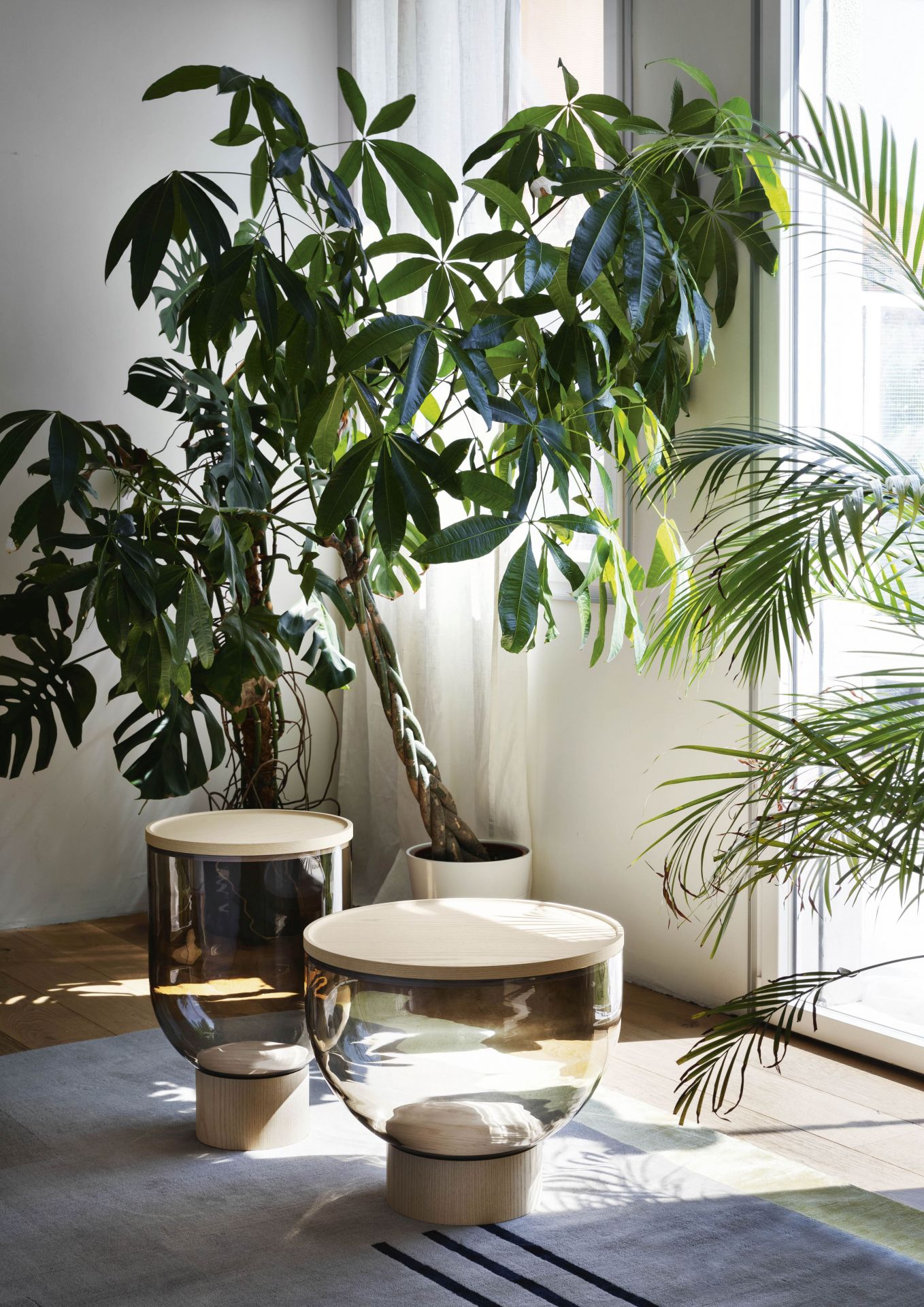 Zwei Mastea Beistelltische von Miniforms im Wohnzimmer, modernes Design mit Glas und Holz.