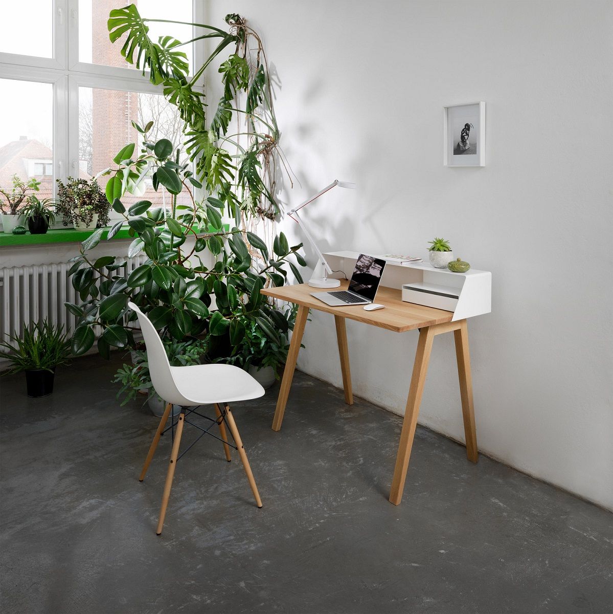 PS04 Sekretär von Müller Möbelfabrikation in Weiß/Eiche mit Laptop und Lampe, umgeben von Pflanzen.