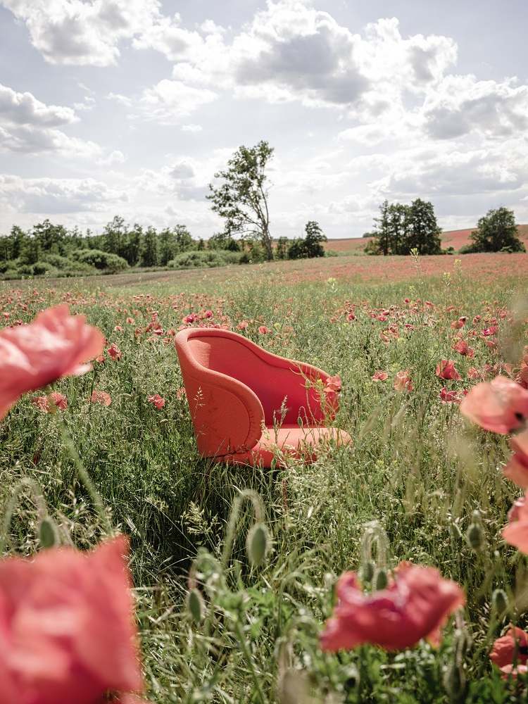 Ona 2020 Curved Armchair Armlehnenstuhl Freifrau Manufaktur