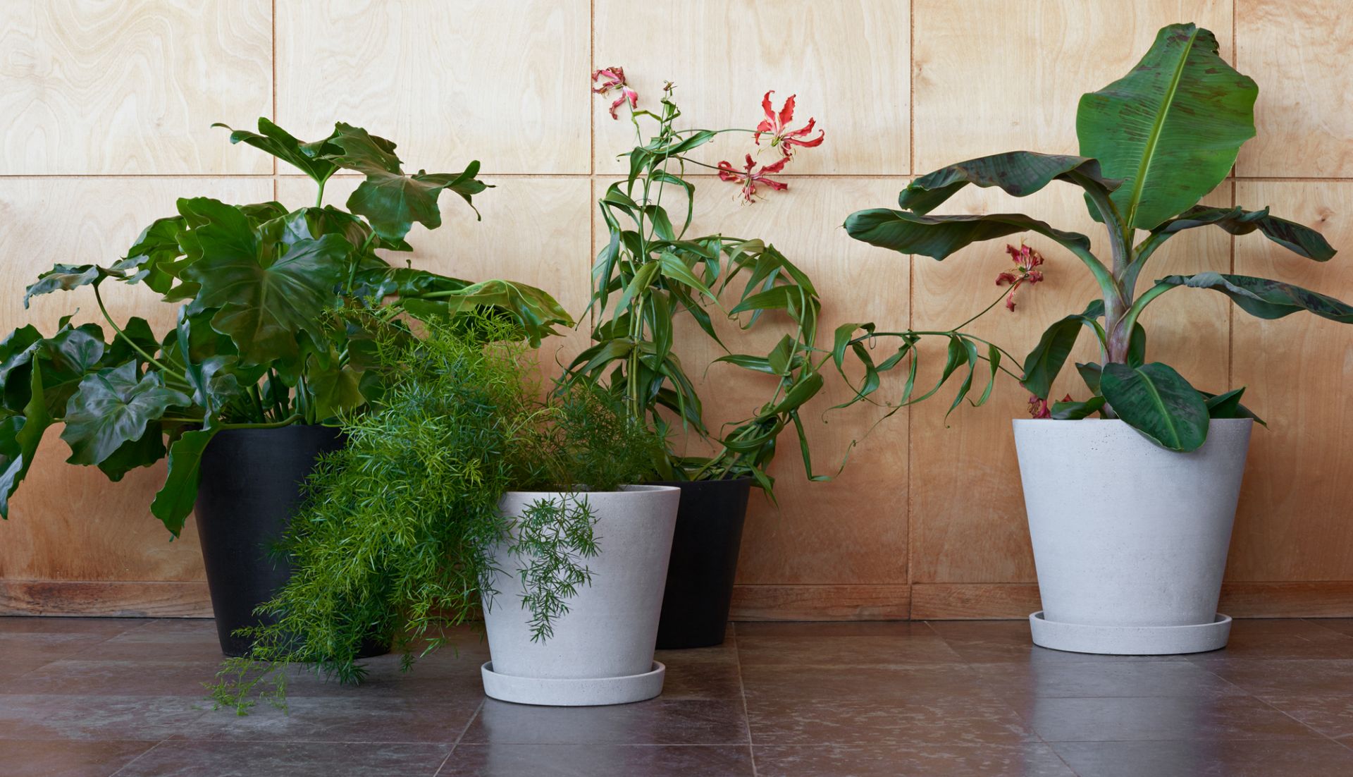 Flowerpot with Saucer XXXL Blumentopf mit Untersetzer Hay