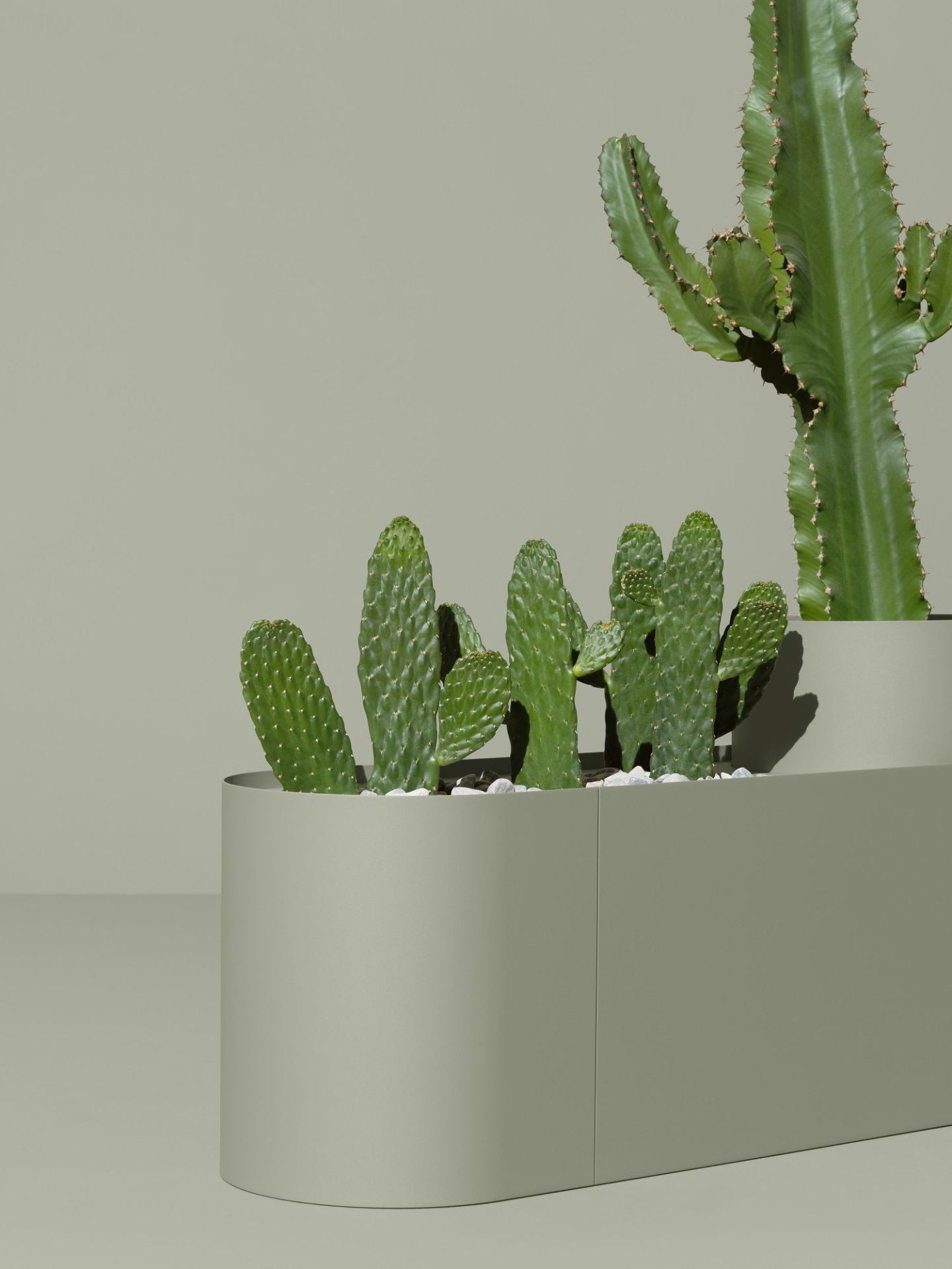 Plant Here Pflanzenbox / Blumentopf Mizetto QUICK SHIP