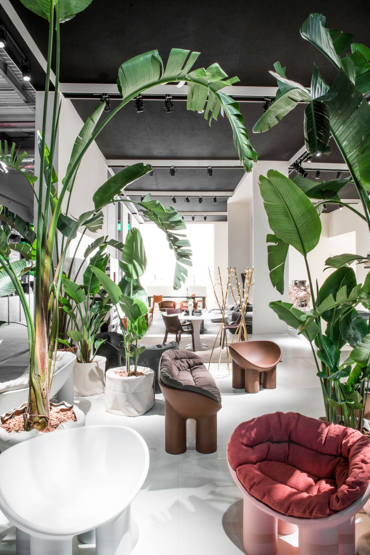 Roly Poly Bank von Driade in Peat Farbe, moderne Sitzbank mit Kissen.